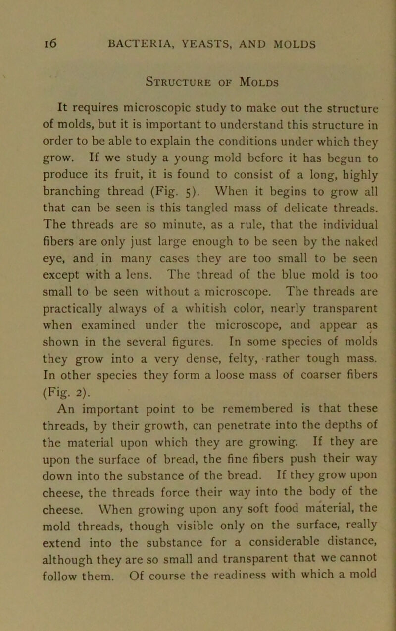 Structure of Molds It requires microscopic study to make out the structure of molds, but it is important to understand this structure in order to be able to explain the conditions under which they grow. If we study a young mold before it has begun to produce its fruit, it is found to consist of a long, highly branching thread (Fig. 5). When it begins to grow all that can be seen is this tangled mass of delicate threads. The threads arc so minute, as a rule, that the individual fibers are only just large enough to be seen by the naked eye, and in many cases they are too small to be seen except with a lens. The thread of the blue mold is too small to be seen without a microscope. The threads are practically always of a whitish color, nearly transparent when examined under the microscope, and appear as shown in the several figures. In some species of molds they grow into a very dense, felty, rather tough mass. In other species they form a loose mass of coarser fibers (Fig. 2). An important point to be remembered is that these threads, by their growth, can penetrate into the depths of the material upon which they are growing. If they are upon the surface of bread, the fine fibers push their way down into the substance of the bread. If they grow upon cheese, the threads force their way into the body of the cheese. When growing upon any soft food material, the mold threads, though visible only on the surface, really extend into the substance for a considerable distance, although they are so small and transparent that we cannot follow them. Of course the readiness with which a mold