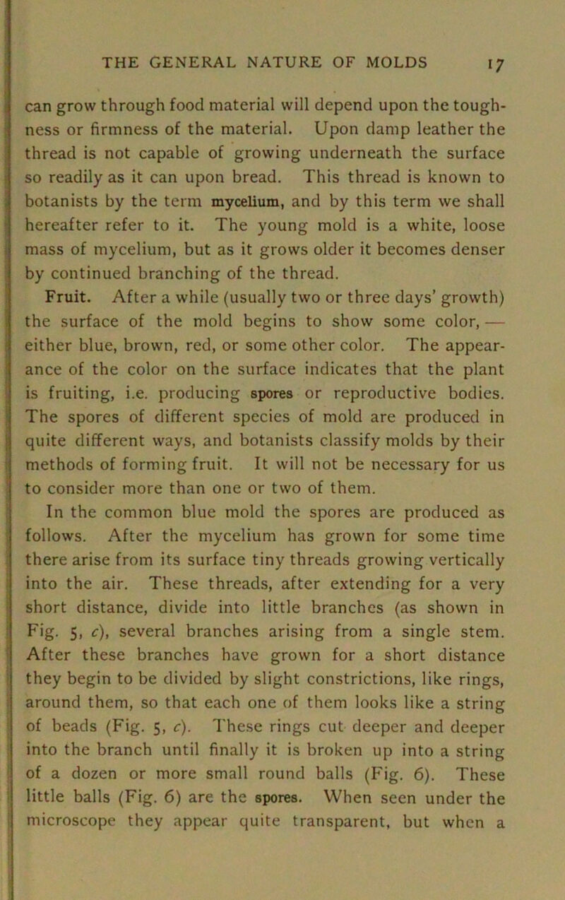 can grow through food material will depend upon the tough- ness or firmness of the material. Upon damp leather the thread is not capable of growing underneath the surface so readily as it can upon bread. This thread is known to botanists by the term mycelium, and by this term we shall hereafter refer to it. The young mold is a white, loose mass of mycelium, but as it grows older it becomes denser by continued branching of the thread. Fruit. After a while (usually two or three days’ growth) the surface of the mold begins to show some color, — either blue, brown, red, or some other color. The appear- ance of the color on the surface indicates that the plant is fruiting, i.e. producing spores or reproductive bodies. The spores of different species of mold are produced in quite different ways, and botanists classify molds by their methods of forming fruit. It will not be necessary for us to consider more than one or two of them. In the common blue mold the spores are produced as follows. After the mycelium has grown for some time there arise from its surface tiny threads growing vertically into the air. These threads, after extending for a very short distance, divide into little branches (as shown in Fig- 5i c), several branches arising from a single stem. After these branches have grown for a short distance they begin to be divided by slight constrictions, like rings, around them, so that each one of them looks like a string of beads (Fig. 5, c). These rings cut deeper and deeper into the branch until finally it is broken up into a string of a dozen or more small round balls (Fig. 6). These little balls (Fig. 6) are the spores. When seen under the microscope they appear quite transparent, but when a