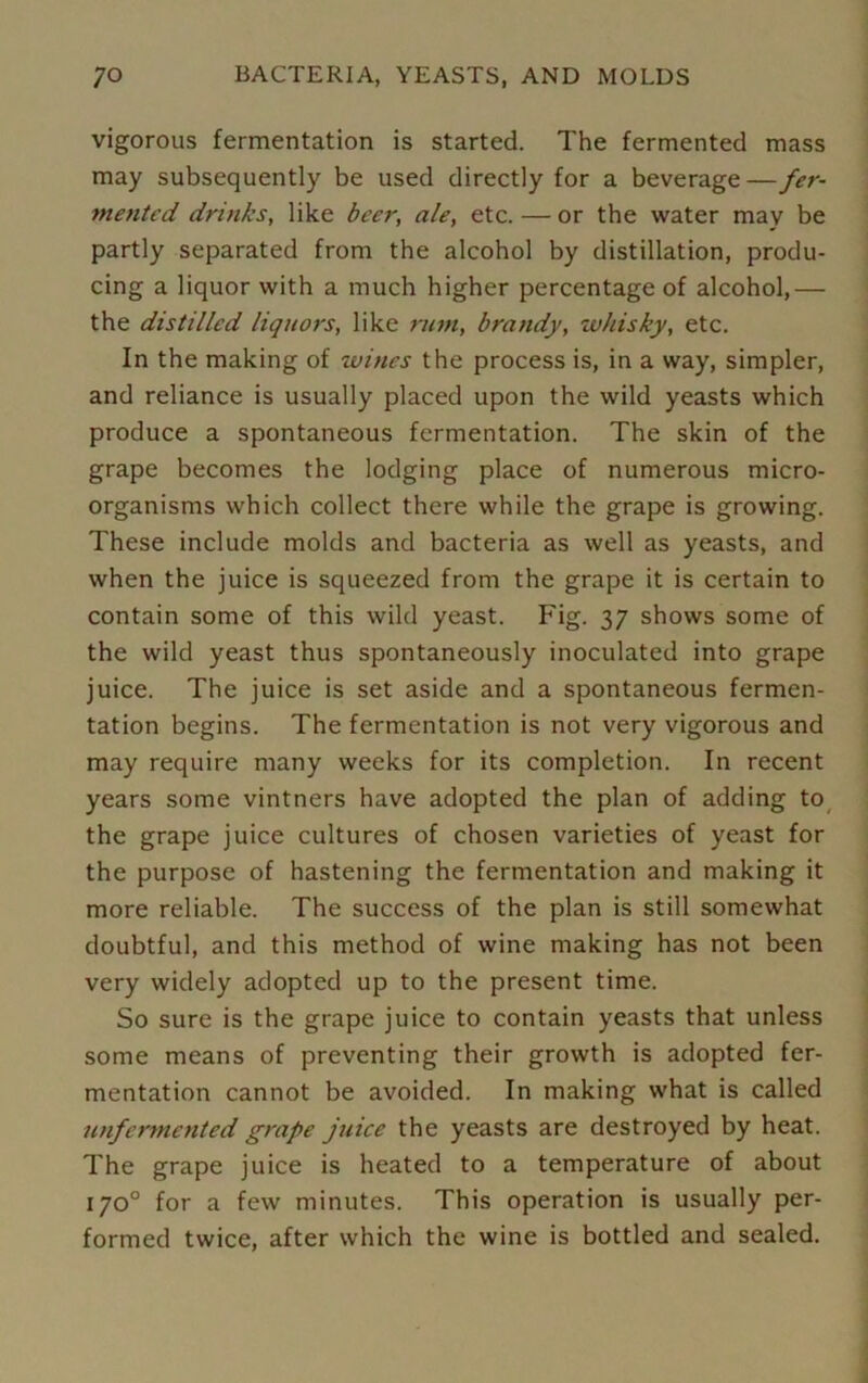 vigorous fermentation is started. The fermented mass may subsequently be used directly for a beverage —fer- mented drinks, like beer, ale, etc. — or the water may be partly separated from the alcohol by distillation, produ- cing a liquor with a much higher percentage of alcohol,— the distilled liquors, like rum, brandy, whisky, etc. In the making of wines the process is, in a way, simpler, and reliance is usually placed upon the wild yeasts which produce a spontaneous fermentation. The skin of the grape becomes the lodging place of numerous micro- organisms which collect there while the grape is growing. These include molds and bacteria as well as yeasts, and when the juice is squeezed from the grape it is certain to contain some of this wild yeast. Fig. 37 shows some of the wild yeast thus spontaneously inoculated into grape juice. The juice is set aside and a spontaneous fermen- tation begins. The fermentation is not very vigorous and may require many weeks for its completion. In recent years some vintners have adopted the plan of adding to the grape juice cultures of chosen varieties of yeast for the purpose of hastening the fermentation and making it more reliable. The success of the plan is still somewhat doubtful, and this method of wine making has not been very widely adopted up to the present time. So sure is the grape juice to contain yeasts that unless some means of preventing their growth is adopted fer- mentation cannot be avoided. In making what is called unfermented grape juice the yeasts are destroyed by heat. The grape juice is heated to a temperature of about 170° for a few minutes. This operation is usually per- formed twice, after which the wine is bottled and sealed.