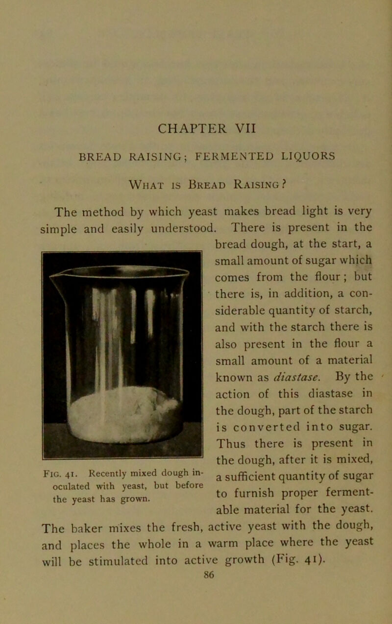 CHAPTER VII BREAD RAISING; FERMENTED LIQUORS What is Bread Raising? The method by which yeast makes bread light is very simple and easily understood. There is present in the bread dough, at the start, a small amount of sugar which comes from the flour; but there is, in addition, a con- siderable quantity of starch, and with the starch there is also present in the flour a small amount of a material known as diastase. By the ' action of this diastase in the dough, part of the starch is converted into sugar. Thus there is present in the dough, after it is mixed, a sufficient quantity of sugar to furnish proper ferment- able material for the yeast. The baker mixes the fresh, active yeast with the dough, and places the whole in a warm place where the yeast will be stimulated into active growth (Fig. 41).
