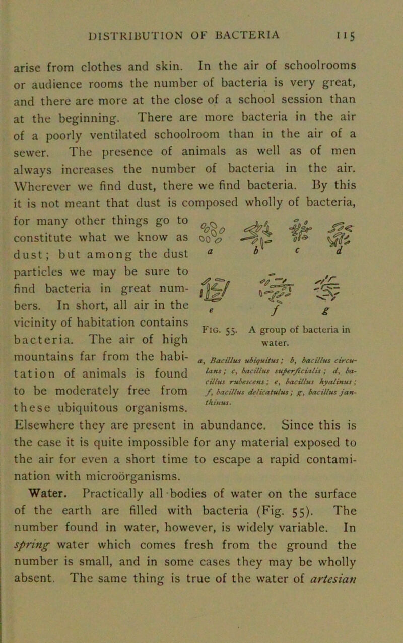 arise from clothes and skin. In the air of schoolrooms or audience rooms the number of bacteria is very great, and there are more at the close of a school session than at the beginning. There are more bacteria in the air of a poorly ventilated schoolroom than in the air of a sewer. The presence of animals as well as of men always increases the number of bacteria in the air. Wherever we find dust, there we find bacteria. By this it is not meant that dust is composed wholly of bacteria, for many other things go to constitute what we know as dust; but among the dust particles we may be sure to find bacteria in great num- bers. In short, all air in the vicinity of habitation contains bacteria. The air of high mountains far from the habi- tation of animals is found to be moderately free from these ubiquitous organisms. Elsewhere they are present in abundance. Since this is the case it is quite impossible for any material exposed to the air for even a short time to escape a rapid contami- nation with microorganisms. Water. Practically all bodies of water on the surface of the earth are filled with bacteria (Fig. 55). The number found in water, however, is widely variable. In spring water which comes fresh from the ground the number is small, and in some cases they may be wholly absent. The same thing is true of the water of artesian Fig. 55. A group of bacteria in water. a, Bacillus ubiquitus; b, bacillus circu- lans; c, bacillus supcrficialis; d, ba- cillus rubescens; e, bacillus hyalinus ; f, bacillus delicatulus; q, bacillus jart- thiuus.