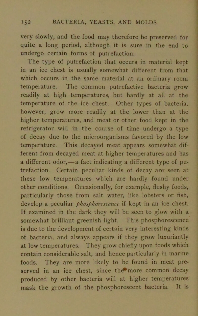 very slowly, and the food may therefore be preserved for quite a long period, although it is sure in the end to undergo certain forms of putrefaction. The type of putrefaction that occurs in material kept in an ice chest is usually somewhat different from that which occurs in the same material at an ordinary room temperature. The common putrefactive bacteria grow readily at high temperatures, but hardly at all at the temperature of the ice chest. Other types of bacteria, however, grow more readily at the lower than at the higher temperatures, and meat or other food kept in the refrigerator will in the course of time undergo a type of decay due to the microorganisms favored by the low temperature. This decayed meat appears somewhat dif- ferent from decayed meat at higher temperatures and has a different odor,—a fact indicating a different type of pu- trefaction. Certain peculiar kinds of decay are seen at these low temperatures which are hardly found under other conditions. Occasionally, for example, fleshy foods, particularly those from salt water, like lobsters or fish, develop a peculiar phosphorescence if kept in an ice chest. If examined in the dark they will be seen to glow with a / somewhat brilliant greenish light. This phosphorescence is due to the development of certain very interesting kinds of bacteria, and always appears if they grow luxuriantly at low temperatures. They grow chiefly upon foods which contain considerable salt, and hence particularly in marine foods. They are more likely to be found in meat pre- served in an ice chest, since thd*more common decay produced by other bacteria will at higher temperatures mask the growth of the phosphorescent bacteria. It is