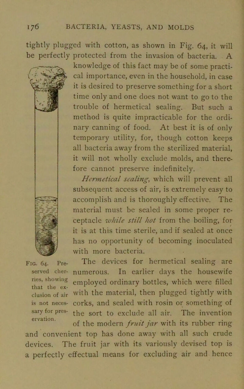 tightly plugged with cotton, as shown in Fig. 64, it will be perfectly protected from the invasion of bacteria. A knowledge of this fact may be of some practi- cal importance, even in the household, in case it is desired to preserve something for a short time only and one does not want to go to the trouble of hermetical sealing. But such a method is quite impracticable for the ordi- nary canning of food. At best it is of only temporary utility, for, though cotton keeps all bacteria away from the sterilized material, it will not wholly exclude molds, and there- fore cannot preserve indefinitely. Hermetical scaling, which will prevent all subsequent access of air, is extremely easy to accomplish and is thoroughly effective. The material must be sealed in some proper re- ceptacle zvhile still hot from the boiling, for it is at this time sterile, and if sealed at once has no opportunity of becoming inoculated with more bacteria. The devices for hermetical sealing are In earlier days the housewife nes, showing empi0yeci ordinary bottles, which were filled that the ex- , # elusion of air with the material, then plugged tightly with is not neces- corks, and sealed with rosin or something of sary for pres- j-he sort exclude all air. The invention of the modern fruit jar with its rubber ring and convenient top has done away with all such crude devices. The fruit jar with its variously devised top is a perfectly effectual means for excluding air and hence Fig. 64. Pre- served cher- numerous