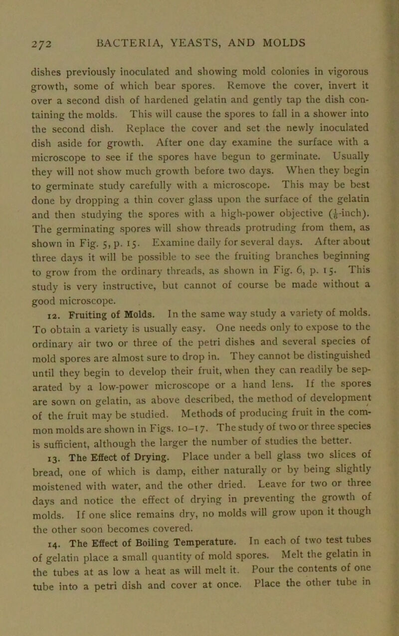 dishes previously inoculated and showing mold colonies in vigorous growth, some of which bear spores. Remove the cover, invert it over a second dish of hardened gelatin and gently tap the dish con- taining the molds. This will cause the spores to fall in a shower into the second dish. Replace the cover and set the newly inoculated dish aside for growth. After one day examine the surface with a microscope to see if the spores have begun to germinate. Usually they will not show much growth before two days. When they begin to germinate study carefully with a microscope. This may be best done by dropping a thin cover glass upon the surface of the gelatin and then studying the spores with a high-power objective (£-inch). The germinating spores will show threads protruding from them, as shown in Fig. 5, p. 15. Examine daily for several days. After about three days it will be possible to see the fruiting branches beginning to grow from the ordinary threads, as shown in Fig. 6, p. 15. This study is very instructive, but cannot of course be made without a good microscope. 12. Fruiting of Molds. In the same way study a variety of molds. To obtain a variety is usually easy. One needs only to expose to the ordinary air two or three of the petri dishes and several species of mold spores are almost sure to drop in. They cannot be distinguished until they begin to develop their fruit, when they can readily be sep- arated by a low-power microscope or a hand lens. If the spores are sown on gelatin, as above described, the method of development of the fruit may be studied. Methods of producing fruit in the com- mon molds are shown in Figs. 10-17. The study of two or three species is sufficient, although the larger the number of studies the better. 13. The Efiect of Drying. Place under a bell glass two slices of bread, one of which is damp, either naturally or by being slightly moistened with water, and the other dried. Leave for two or three days and notice the effect of drying in preventing the growth of molds. If one slice remains dry, no molds will grow upon it though the other soon becomes covered. 14. The Effect of Boiling Temperature. In each of two test tubes of gelatin place a small quantity of mold spores. Melt the gelatin in the tubes at as low a heat as will melt it. Pour the contents of one tube into a petri dish and cover at once. Place the other tube in