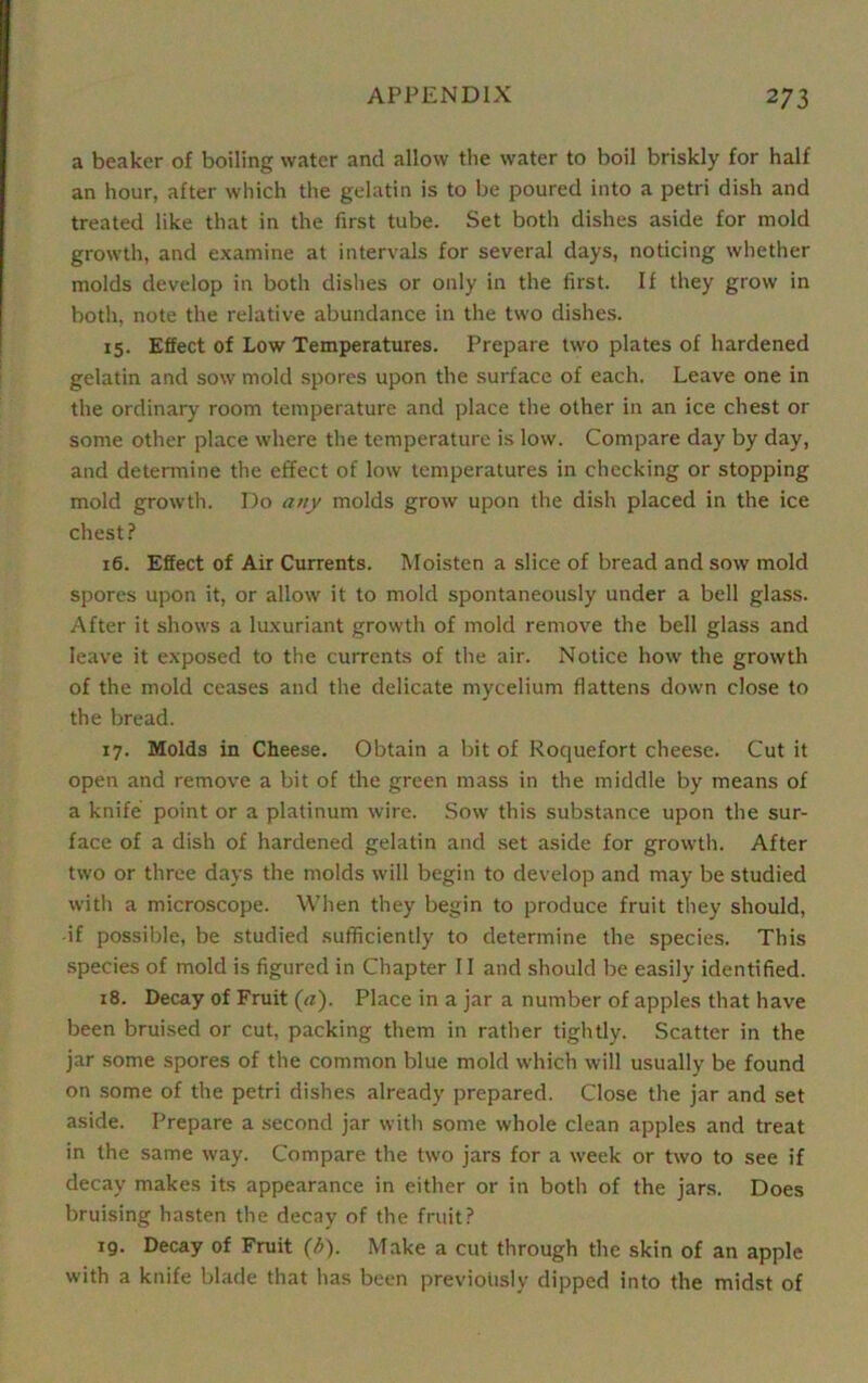 a beaker of boiling water and allow the water to boil briskly for half an hour, after which the gelatin is to be poured into a petri dish and treated like that in the first tube. Set both dishes aside for mold growth, and examine at intervals for several days, noticing whether molds develop in both dishes or only in the first. If they grow in both, note the relative abundance in the two dishes. 15. Effect of Low Temperatures. Prepare two plates of hardened gelatin and sow mold spores upon the surface of each. Leave one in the ordinary room temperature and place the other in an ice chest or some other place where the temperature is low. Compare day by day, and determine the effect of low temperatures in checking or stopping mold growth. Do any molds grow upon the dish placed in the ice chest? 16. Effect of Air Currents. Moisten a slice of bread and sow mold spores upon it, or allow it to mold spontaneously under a bell glass. After it shows a luxuriant growth of mold remove the bell glass and leave it exposed to the currents of the air. Notice how the growth of the mold ceases and the delicate mycelium flattens down close to the bread. 17. Molds in Cheese. Obtain a bit of Roquefort cheese. Cut it open and remove a bit of the green mass in the middle by means of a knife point or a platinum wire. Sow this substance upon the sur- face of a dish of hardened gelatin and set aside for growth. After two or three days the molds will begin to develop and may be studied with a microscope. When they begin to produce fruit they should, if possible, be studied sufficiently to determine the species. This species of mold is figured in Chapter 11 and should be easily identified. 18. Decay of Fruit (a). Place in a jar a number of apples that have been bruised or cut, packing them in rather tightly. Scatter in the jar some spores of the common blue mold which will usually be found on some of the petri dishes already prepared. Close the jar and set aside. Prepare a second jar with some whole clean apples and treat in the same way. Compare the two jars for a week or two to see if decay makes its appearance in either or in both of the jars. Does bruising hasten the decay of the fruit? 19. Decay of Fruit (b). Make a cut through the skin of an apple with a knife blade that has been previously dipped into the midst of