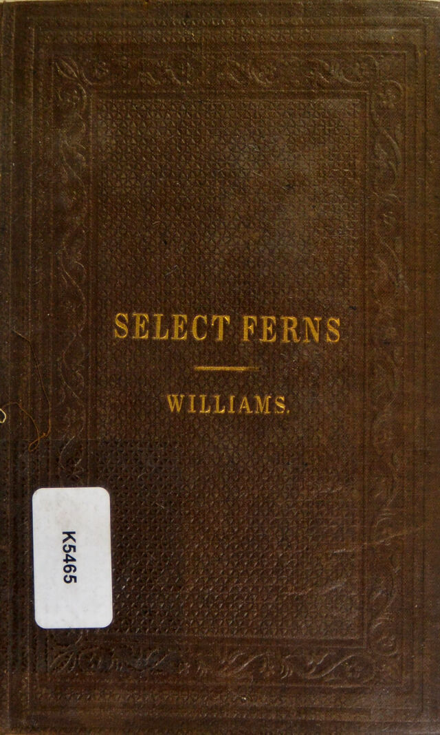 No text description is available for this image