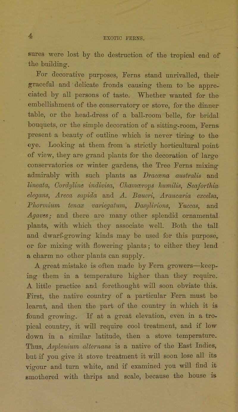 EXOTIC FERNS. sures were lost by the destruction of the tropical end of the bnilding. For decorative purposes, Ferns stand nnrivalled, their graceful and delicate fronds causing them to be appre- ciated by all persons of taste. Whether wanted for the embellishment of the conservatory or stove, for the dinner table, or the head-dress of a ball-room belle, for bridal bouquets, or the simple decoration of a sitting-room. Ferns present a beanty of outline which is never tiring to the eye. Looking at them from a strictly horticultural point of view, they are grand plants for the decoration of large conservatories or winter gardens, the Tree Ferns mixing admirably with snch plants as Draccena australis and lineata, Cordylina indivisa, Chamcerops Immilis, SeafortMa elegans, Areca sapida and A. Baucri, Araucaria excelsa, Pliormium tenax variegaium, Dasylirions, Yuccas, and Agaves; and there are many other splendid ornamental plants, with which they associate well. Both the tall and dwarf-growing kinds may be used for this purpose,, or for mixiug with flowering plants; to either they lend a charm no other plants can supply. A great mistake is often made hy Fern growers—keep- ing them in a temperature higher than they reqnire. A little practice and forethought will soon obviate this. First, the native country of a particular Fern mnst be learnt, and then the part of the country in which it is found growing. If at a great elevation, even in a tro- pical conntry, it will require cool treatment, and if low down in a similar latitude, then a stove temperatnre. Thus, Asplenium alternans is a native of the East Indies, but if you give it stove treatment it will soon lose all its vigonr and tmm white, and if examined you will find it smothered with thrips and scale, because the house is