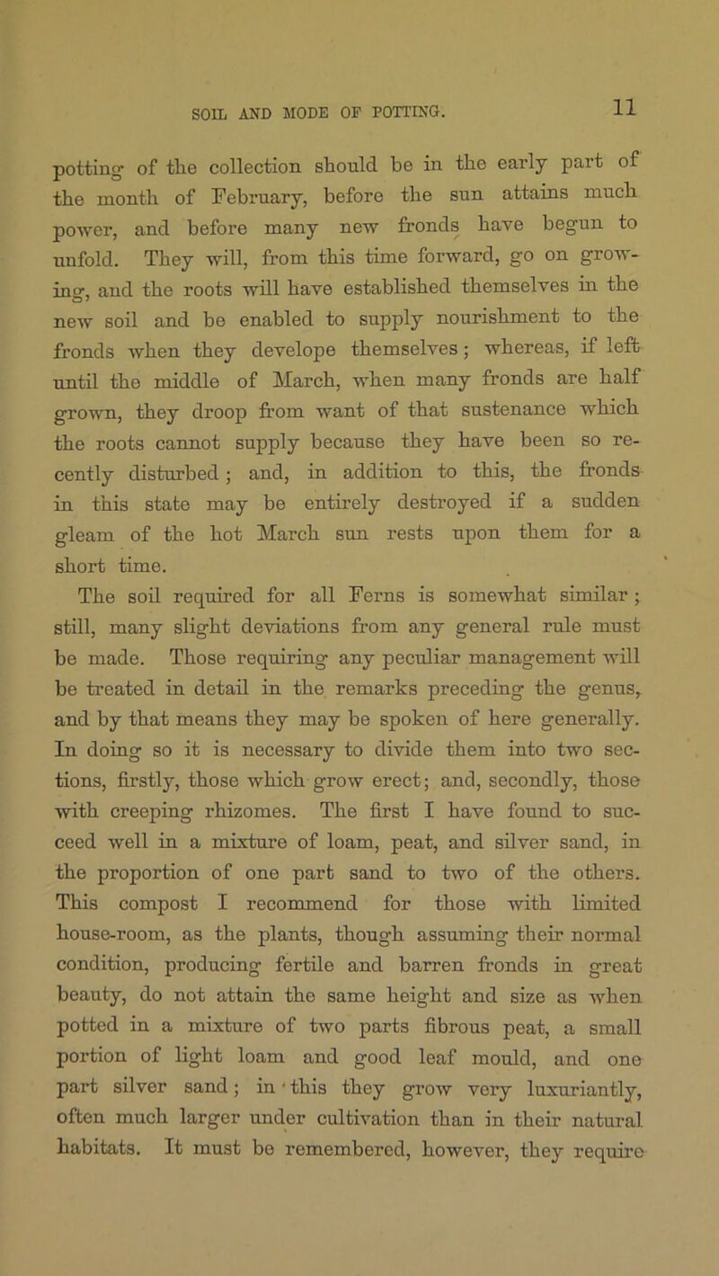 potting^ of tlie collection should be in the early part of the month of February, before the sun attains much power, and before many new fronds have begun to unfold. They will, from this time forward, go on grow- ing, and the roots will have established themselves in the new soil and be enabled to supply nourishment to the fronds when they develope themselves; whereas, if left until the middle of March, when many fronds are half grown, they droop from want of that sustenance which the roots cannot supply because they have been so re- cently disturbed; and, in addition to this, the fronds in this state may be entirely destroyed if a sudden gleam of the hot March sun rests upon them for a short time. The soil required for all Ferns is somewhat similar ; still, many slight deviations from any general rule must be made. Those requiring any peculiar management will be treated in detail in the remarks preceding the genus, and by that means they may be spoken of here generally. In doing so it is necessary to divide them into two sec- tions, firstly, those which grow erect; and, secondly, those with creeping rhizomes. The first I have found to suc- ceed well in a mixture of loam, peat, and silver sand, in the proportion of one part sand to two of the others. This compost I recommend for those with limited house-room, as the plants, though assuming their normal condition, producing fertile and barren fronds in great beauty, do not attain the same height and size as when potted in a mixture of two parts fibrous peat, a small portion of light loam and good leaf mould, and one part silver sand; in ‘ this they grow very luxuriantly, often much larger under cultivation than in their natural habitats. It must be remembered, however, they require
