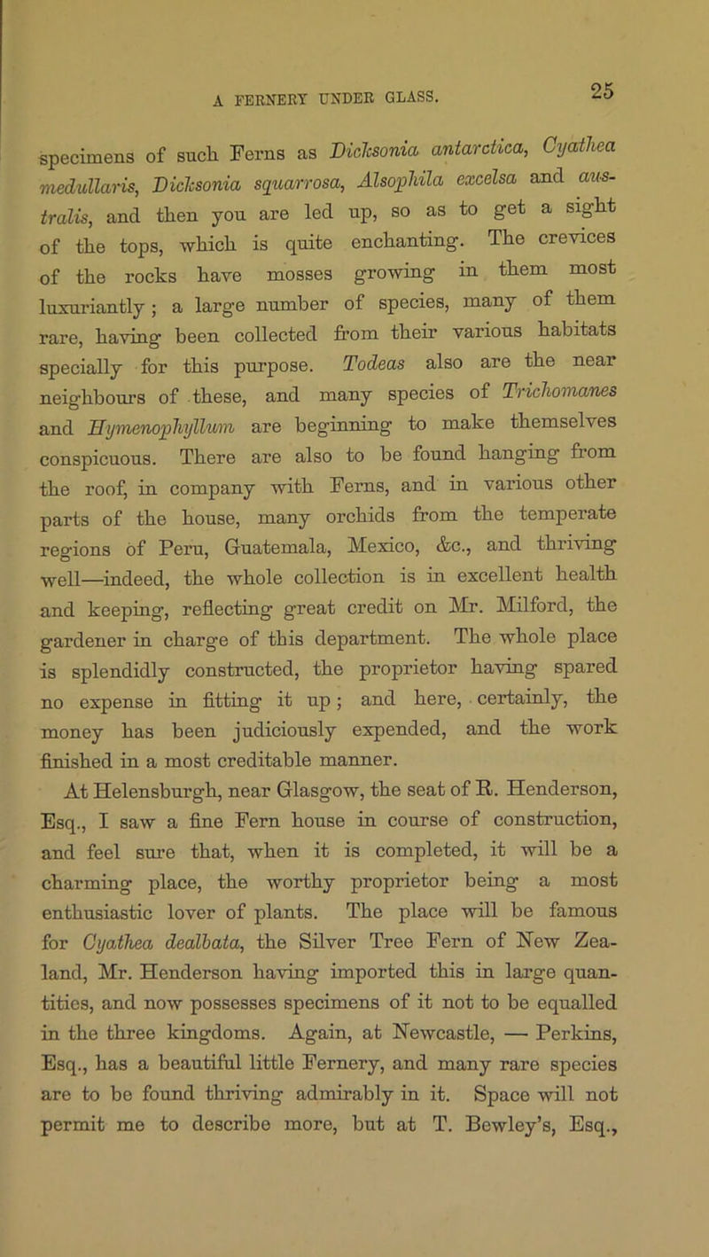 specimens of such Ferns as Biclcsonia antarctica, Cyatliea medullans, Biclcsonia squarrosa, AlsoigMla excelsa and aus- tralis, and then yon are led np, so as to get a sight of the tops, which is quite enchanting. The crevices of the rocks have mosses growing in them most luxuriantly; a large number of species, many of them rare, having been collected from their various habitats specially for this purpose. Todeas also are the near neighbours of these, and many species of Tficlioinanes and JEfynnenopliyllum are beginning to make themselves conspicuous. There are also to be found hanging from the roof, in company with Ferns, and in various other parts of the house, many orchids from the temperate regions of Peru, Guatemala, Mexico, &c., and thriving well—indeed, the whole collection is in excellent health and keeping, reflecting great credit on Mr. Milford, the gardener in charge of this department. The whole place is splendidly constructed, the proprietor having spared no expense in fitting it up; and here, certainly, the money has been judiciously expended, and the work finished in a most creditable manner. At Helensburgh, near Glasgow, the seat of R. Henderson, Esq., I saw a fine Fern house in course of construction, and feel sure that, when it is completed, it will be a charming place, the worthy proprietor being a most enthusiastic lover of plants. The place will be famous for Gyathea dealbata, the Silver Tree Fern of Hew Zea- land, Mr. Henderson having imported this in large quan- tities, and now possesses specimens of it not to be equalled in the three kingdoms. Again, at Newcastle, — Perkins, Esq., has a beautiful little Fernery, and many rare species are to be found thriving admirably in it. Space will not permit me to describe more, but at T. Bewley’s, Esq.,