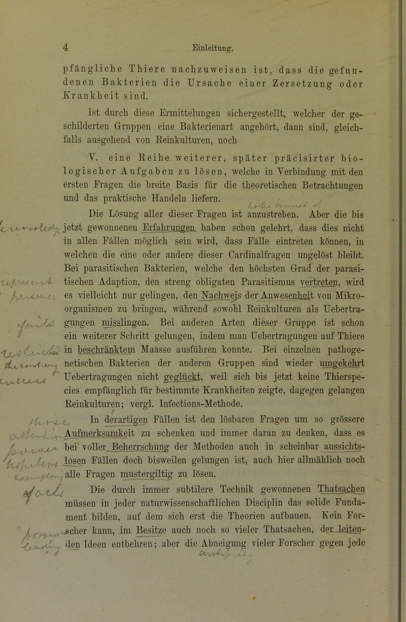 pfängliclie Thiere nachziiweisen ist, dass die gefun- denen Bakterien die Ursache einer Zersetzung oder Krankheit sind. Ist durch diese Ermittelungen sichergestellt, welcher der ge- schilderten Gruppen eine Bakterienart angehört, dann sind, gleich- falls ausgehend von Keinkulturen, noch V. eine Reihe weiterer, später präcisirter bio- logischer Aufgaben zu lösen, welche in Verbindung mit den ersten Fragen die breite Basis für die theoretischen Betrachtungen und das praktische Handeln liefern. Die Lösung aller dieser Fragen ist anzustreben. Aber die bis jetzt gewonnenen Erfahrungen haben schon gelehrt, dass dies nicht in allen Fällen möglich sein wird, dass Fälle eintreten können, in welchen die eine oder andere dieser Cardinalfragen ungelöst hleibt. Bei parasitischen Bakterien, welche den höchsten Grad der parasi- tischen Adaption, den streng obligaten Parasitismus vertreten, wird es vielleicht nur gelingen, den Nachweis der Anwesenheit von Mikro- organismen zu bringen, während sowohl Reinkulturen als üebertra- gungen misslingeu. Bei anderen Arten dieser Gruppe ist schon ein weiterer Scliritt gelungen, indem man Uebertragungen auf Thiere in beschräsktem Maasse ausführen konnte. Bei einzelnen pathoge- netischen Bakterien der anderen Gruppen sind wieder umgekehrt ^ Uebertragungen nicht geglückt, weil sich bis jetzt keine Thierspe- cies empfänglich für bestimmte Krankheiten zeigte, dagegen gelangen Reinkulturen; vergl. Infections-Methode. //u »'WL-c. derartigen Fällen ist den lösbaren Fragen um so grössere Iv Aufmerksanakeit zu schenken und immer daran zu denken, dass es / bei’ voller Beherrschung der Methoden auch in scheinbar aussichts- Fällen doch bisweilen gelungen ist, auch hier allmählich noch ■ <L^<,.>-<^f“-^alle Fragen mustergiltig zu lösen. ^ Die durch immer subtilere Technik gewonnenen Thats^en müssen in jeder naturwissenschaftlichen Disciplin das solide Funda- ment bilden, auf dem sich erst die Theorien auf bauen. Kein For- ^ - scher kann, im Besitze auch noch so vieler Thatsachen, derJuiten- jrlr-*-»-' dra Ideen entbehren; aber die Abneigung vieler Forscher gegen jede l V- , f