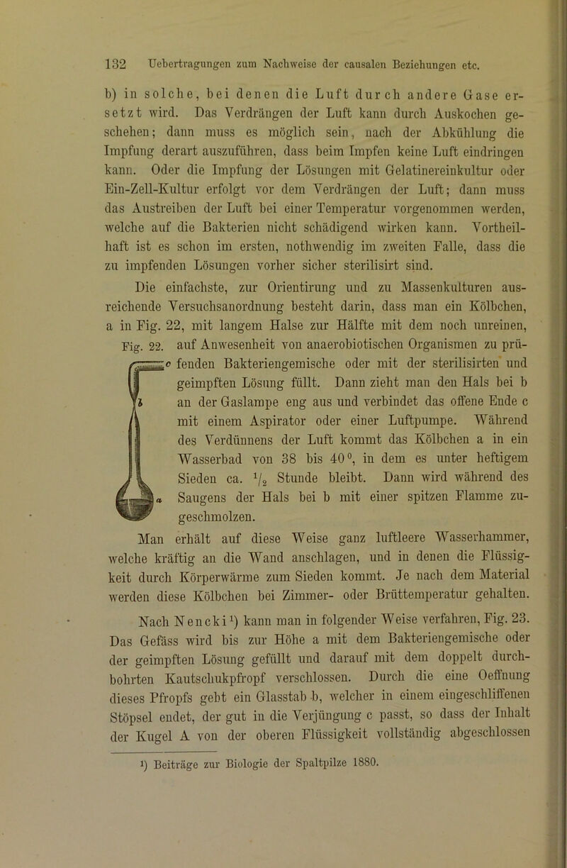 b) in solche, bei denen die Luft durch andere Gase er- setzt wird. Das Verdrängen der Luft kann durch Auskochen ge- schehen; dann muss es möglich sein, nach der Abkühlung die Impfung derart auszuführen, dass beim Impfen keine Luft eindringen kann. Oder die Impfung der Lösungen mit Gelatinereinkultur oder Ein-Zell-Kultur erfolgt vor dem Verdrängen der Luft; dann muss das Austreiben der Luft bei einer Temperatur vorgenommen werden, welche auf die Bakterien nicht schädigend wirken kann. Vortheil- haft ist es schon im ersten, nothwendig im zweiten Falle, dass die zu impfenden Lösungen vorher sicher sterilisirt sind. Die einfachste, zur Orientirung und zu Massenkulturen aus- reichende Versuchsanordnung besteht darin, dass man ein Kölbchen, a in Fig. 22, mit langem Halse zur Hälfte mit dem noch unreinen, Fig. 22. auf Anwesenheit von anaerobiotischen Organismen zu prü- 0 fenden Bakteriengemische oder mit der sterilisirten und geimpften Lösung füllt. Dann zieht man den Hals bei b an der Gaslampe eng aus und verbindet das offene Ende c mit einem Aspirator oder einer Luftpumpe. Während des Verdünnens der Luft kommt das Kölbchen a in ein Wasserbad von 38 bis 40 ^ in dem es unter heftigem Sieden ca. V2 Stunde bleibt. Dann wird während des Saugens der Hals bei b mit einer spitzen Flamme zu- geschmolzen. Man erhält auf diese Weise ganz luftleere Wasserhammer, welche kräftig an die Wand anschlagen, und in denen die Flüssig- keit durch Körperwärme zum Sieden kommt. Je nach dem Material werden diese Kölbchen bei Zimmer- oder Brüttemperatur gehalten. Nach Nencki 1) kann man in folgender Weise verfahren, Fig. 23. Das Gefäss wird bis zur Höhe a mit dem Bakteriengemische oder der geimpften Lösung gefüllt und darauf mit dem doppelt durch- bohrten Kautschukpfropf verschlossen. Durch die eine Oeffnung dieses Pfropfs geht ein Glasstab b, welcher in einem eingeschliflfenen Stöpsel endet, der gut in die Verjüngung c passt, so dass der Inhalt der Kugel A von der oberen Flüssigkeit vollständig abgeschlossen 1) Beiträge zur Biologie der Spaltpilze 1880.