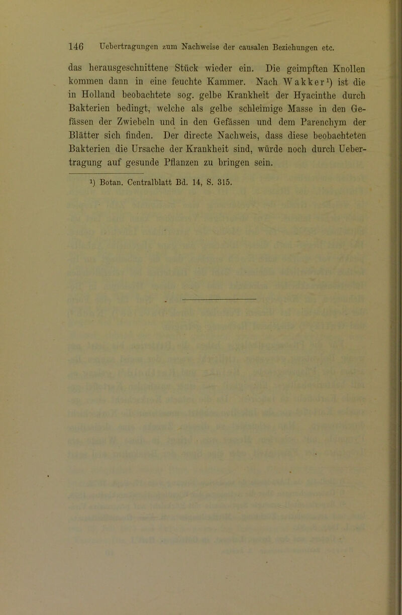 das heraiisgeschuittene Stück wieder ein. Die geimpften Knollen kommen dann in eine feuchte Kammer. Nach Wakker^) ist die in Holland beobachtete sog. gelbe Krankheit der Hyacinthe durch Bakterien bedingt, welche als gelbe schleimige Masse in den Ge- lassen der Zwiebeln und in den Gefässen und dem Parenchym der Blätter sich finden. Der directe Nachweis, dass diese beobachteten Bakterien die Ursache der Krankheit sind, würde noch durch üeber- tragung auf gesunde Pflanzen zu bringen sein. 1) Botan. Centralhlatt Bd. 14, S. 315.