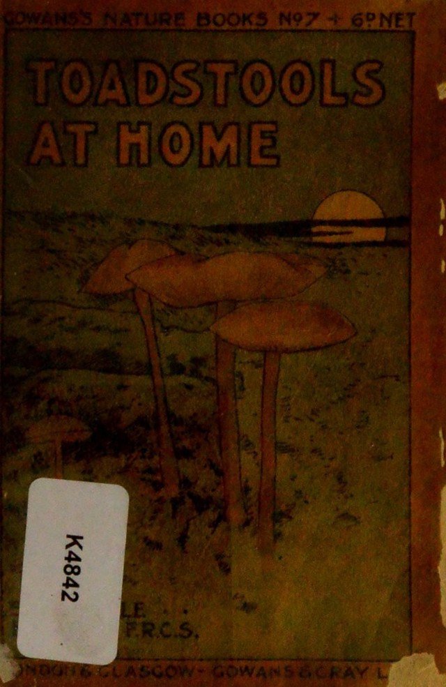 No text description is available for this image