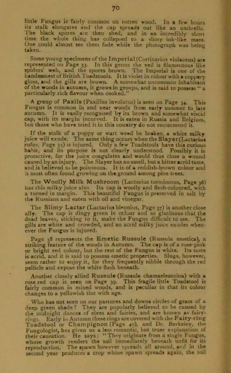 little Fungus is fairly common on rotten wood. In a few hours its stalk elongates and the cap spreads out like an umbrella. The black spores are then shed, and in an incredibly short lime the whole thing has collapsed to a slimy ink-like mass. One could almost see them fade while the photograph was being taken. Some young specimens of the Imperial (Cortinarius violaceus) are represented on Page 33. In this genus the veil is filamentous like spiders’ web, and the spores brown. The Imperial is one of the handsomest of British Toadstools. It is violet in colour with a coppery gloss, and the gills are brown. A somewhat uncommon inhabitant of the woods in autumn, it grows in groups, and is said to possess “ a particularly rich flavour when cooked.” A group of Paxils (Paxillus involutus) is seen on Page 34. This Fungus is common in and near woods from early summer to late autumn. It is easily recognised by its brown and somewhat viscid cap, with its margin incurved. It is eaten in Russia and Belgium, but those who have tried it in this country do not recommend it. If the stalk of a poppy or wart weed be breken, a white milky juice will exude. The same thing occurs when the Slayer(Lactarius rufus, Page 3s) is injured. Only a few Toadstools have this curious habit, and its purpose is not clearly understood. Possibly it is protective, for the juice coagulates and would thus close a wound caused by an injury. The Slayer has no smell, but a bitter acrid taste, and is believed to be poisonous. It is of a reddish-brown colour and is most often found growing on the ground among pine trees. The Woolly Milk Mushroom (Lactarius torminosus, Page 36) has this milky juice also Its cap is woolly and flesh-coloured, with a turned in margin. This beautiful Fungus is preserved in salt by the Russians and eaten with oil and vinegar. The Slimy Lactar (Lactarius blennius, Page 37) is another close ally. The cap is dingy green in cclour and so glutinous that the dead leaves, sticking to it, make the Fungus difficult to see. The gills are white and crowded, and an acrid milky juice exudes when- ever the Fungus is injured. Page 38 represents the Emetic Russule (Russula etuetica), a striking feature of the woods in Autumn. The cap is of a rose-pink or brignt red colour, but the rest of the Fungus is white. Its taste is acrid, and it is said to possess emetic properties. Slugs, however, seem rather to enjoy it, for they frequently nibble through the ted pellicle and expose the white flesh beneath. Another closely allied Russule (Russula chamaeleontina) with a rose red cap is seen on Page 39. This fragile little Toadstool is fairly common in mixed woods, and is peculiar in that its colour changes to a yellowish tint with age. Who has not seen on our pastures and downs circles of grass of a deep green shade? They are popularly believed to be caused by the midnight dances of elves and fairies, and are known as fairy- rings Early in Autumn these rings are covered with the Fairy-ring Toadstool or Champignon (Page 40), and Dr. Berkeley, the Fungologist, has given us a less romantic, but truer esplanation of their causation. He says: “ They originate from a single Fungus, whose growth renders the soil immediately beneath unfit for its reproduction. The spawn however spreads all around, and in the second year produces a crop whose spawn spteads again, the soil
