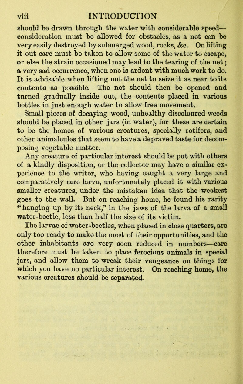 should be drawn through the water with considerable speed— consideration must be allowed for obstacles, as a net can be very easily destroyed by submerged wood, rocks, &c. On lifting it out care must be taken to allow some of the water to escape, or else the strain occasioned may lead to the tearing of the net; a very sad occurrence, when one is ardent with much work to do. It is advisable when lifting out the net to seize it as near to its contents as possible. The net should then be opened and turned gradually inside out, the contents placed in various bottles in just enough water to allow free movement. Small pieces of decaying wood, unhealthy discoloured weeds should be placed in other jars (in water), for these are certain to be the homes of various creatures, specially rotifers, and other animalcules that seem to have a depraved taste for decom- posing vegetable matter. Any creature of particular interest should be put with others of a kindly disposition, or the collector may have a similar ex- perience to the writer, who having caught a very large and comparatively rare larva, unfortunately placed it with various smaller creatures, under the mistaken idea that the weakest goes to the wall. But on reaching home, he found his rarity “hanging up by its neck,” in the jaws of the larva of a small water-beetle, less than half the size of its victim. The larvae of water-beetles, when placed in close quarters, are only too ready to make the most of their opportunities, and the other inhabitants are very soon reduced in numbers—care therefore must be taken to place ferocious animals in special jars, and allow them to wreak their vengeance on things for which you have no particular interest. On reaching home, the various creatures should be separated*