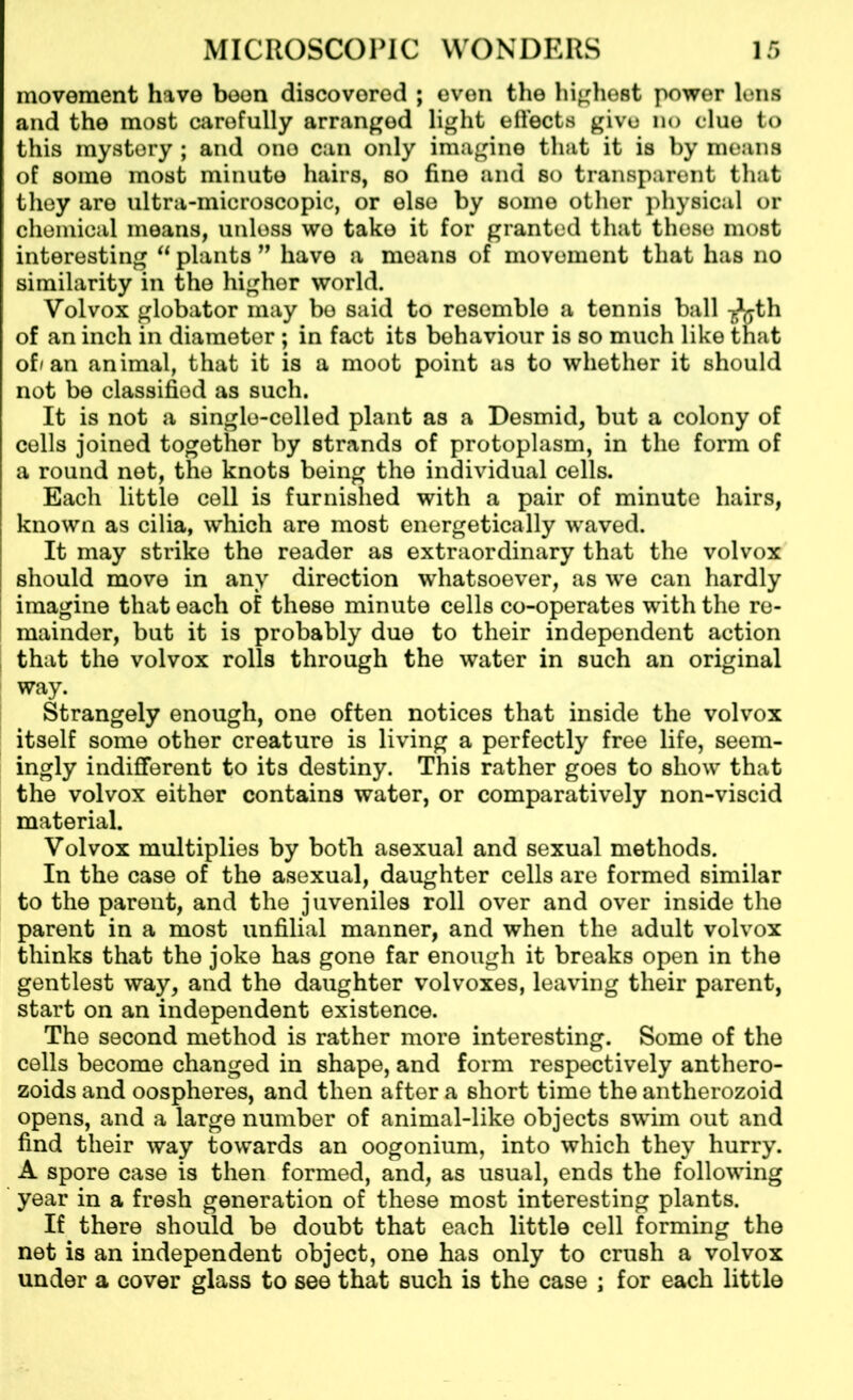 movement have been discovered ; even the highest power lens and the most carefully arranged light effects give no clue to this mystery ; and one can only imagine that it is by means of some most minute hairs, so fine and so transparent that they are ultra-microscopic, or else by some other physical or chemical means, unless we take it for granted that these most interesting  plants 99 have a means of movement that has no similarity in the higher world. Volvox globator may be said to resemble a tennis ball -g^th of an inch in diameter ; in fact its behaviour is so much like that of/an animal, that it is a moot point as to whether it should not be classified as such. It is not a single-celled plant as a Desmid, but a colony of cells joined together by strands of protoplasm, in the form of a round net, the knots being the individual cells. Each little cell is furnished with a pair of minute hairs, known as cilia, which are most energetically waved. It may strike the reader as extraordinary that the volvox should move in any direction whatsoever, as we can hardly imagine that each of these minute cells co-operates with the re- mainder, but it is probably due to their independent action that the volvox rolls through the water in such an original way. Strangely enough, one often notices that inside the volvox itself some other creature is living a perfectly free life, seem- ingly indifferent to its destiny. This rather goes to show that the volvox either contains water, or comparatively non-viscid material. Volvox multiplies by both asexual and sexual methods. In the case of the asexual, daughter cells are formed similar to the parent, and the juveniles roll over and over inside the parent in a most unfilial manner, and when the adult volvox thinks that the joke has gone far enough it breaks open in the gentlest way, and the daughter volvoxes, leaving their parent, start on an independent existence. The second method is rather more interesting. Some of the cells become changed in shape, and form respectively anthero- zoids and oospheres, and then after a short time the antherozoid opens, and a large number of animal-like objects swim out and find their way towards an oogonium, into which they hurry. A spore case is then formed, and, as usual, ends the following year in a fresh generation of these most interesting plants. If there should be doubt that each little cell forming the net is an independent object, one has only to crush a volvox under a cover glass to see that such is the case ; for each little