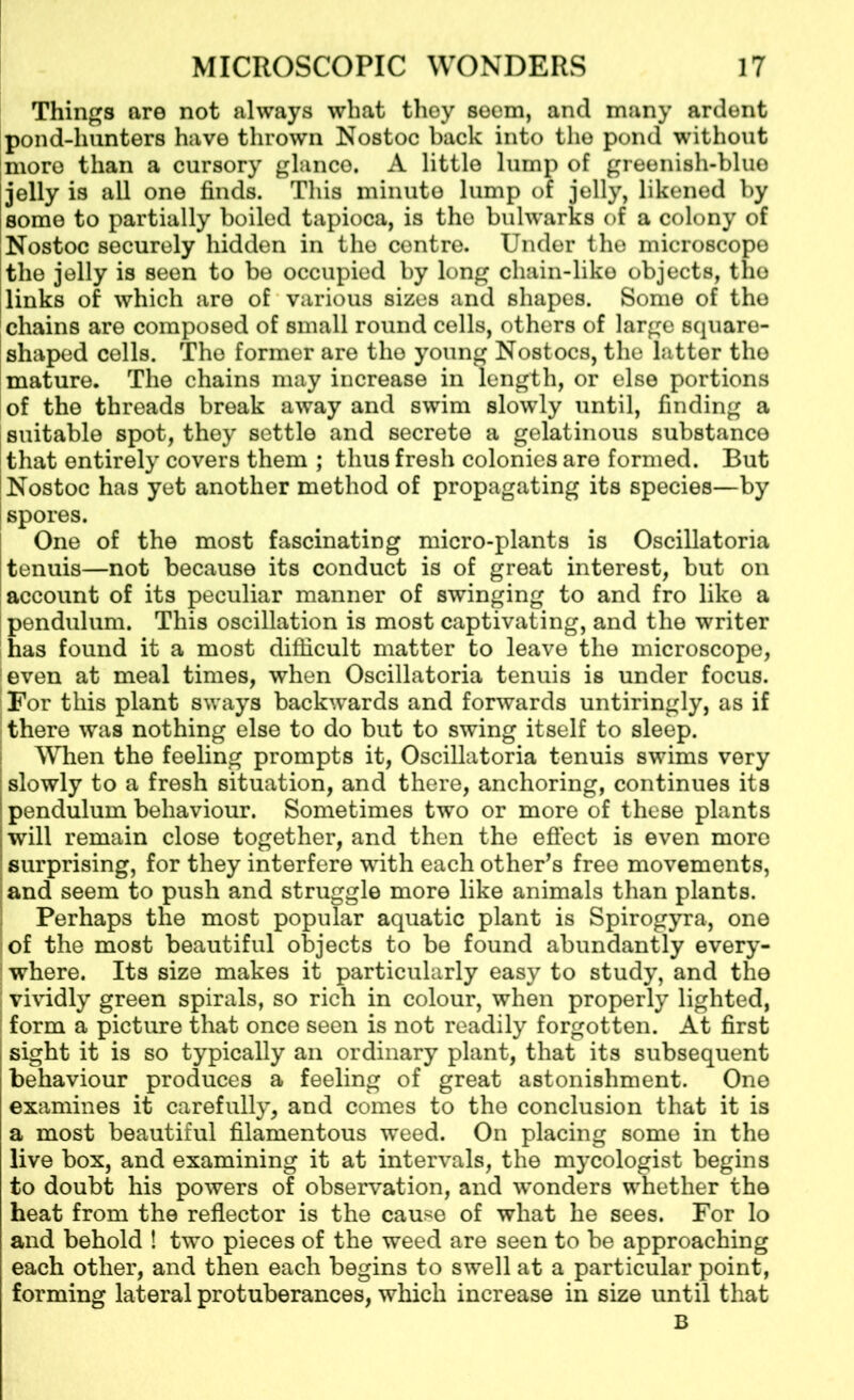 Things are not always what they seem, and many ardent pond-hunters have thrown Nostoc back into the pond without [more than a cursory glance. A little lump of greenish-blue jelly is all one finds. This minute lump of jelly, likened by some to partially boiled tapioca, is tho bulwarks of a colony of Nostoc securely hidden in the centre. Under the microscope the jelly is seen to be occupied by long chain-like objects, the links of which are of various sizes and shapes. Some of the chains are composed of small round cells, others of large square- shaped cells. The former are the young Nostocs, the latter the mature. The chains may increase in length, or else portions of the threads break away and swim slowly until, finding a suitable spot, they settle and secrete a gelatinous substance that entirely covers them ; thus fresh colonies are formed. But Nostoc has yet another method of propagating its species—by spores. One of the most fascinating micro-plants is Oscillatoria tenuis—not because its conduct is of great interest, but on account of its peculiar manner of swinging to and fro like a pendulum. This oscillation is most captivating, and the writer has found it a most difficult matter to leave the microscope, even at meal times, when Oscillatoria tenuis is under focus. For this plant sways backwards and forwards untiringly, as if there was nothing else to do but to swing itself to sleep. When the feeling prompts it, Oscillatoria tenuis swims very j slowly to a fresh situation, and there, anchoring, continues its pendulum behaviour. Sometimes two or more of these plants will remain close together, and then the effect is even more surprising, for they interfere with each others free movements, and seem to push and struggle more like animals than plants. Perhaps the most popular aquatic plant is Spirogyra, one of the most beautiful objects to be found abundantly every- where. Its size makes it particularly easy to study, and the vividly green spirals, so rich in colour, when properly lighted, form a picture that once seen is not readily forgotten. At first sight it is so typically an ordinary plant, that its subsequent behaviour produces a feeling of great astonishment. One examines it carefully, and comes to the conclusion that it is a most beautiful filamentous weed. On placing some in the live box, and examining it at intervals, the mycologist begins to doubt his powers of observation, and wonders whether the heat from the reflector is the cause of what he sees. For lo and behold ! two pieces of the weed are seen to be approaching each other, and then each begins to swell at a particular point, forming lateral protuberances, which increase in size until that B