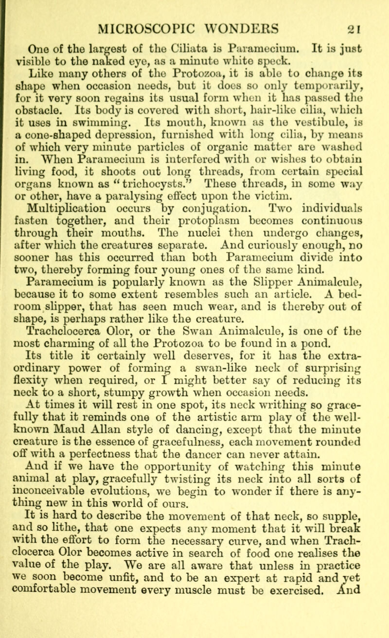 One of the largest of the Ciliata is Paramecium. It is just visible to the naked eye, as a minute white speck. Like many others of the Protozoa, it is able to change its shape when occasion needs, but it does so only temporarily, for it very soon regains its usual form when it has passed tho obstacle. Its body is covered with short, hair-like cilia, which it uses in swimming. Its mouth, known as tho vestibule, is a cone-shaped depression, furnished with long cilia, by means of which very minute particles of organic matter are washed in. When Paramecium is interfered with or wishes to obtain living food, it shoots out long threads, from certain special organs known as “ trichocysts.” These threads, in some way or other, have a paralysing effect upon the victim. Multiplication occurs by conjugation. Two individuals fasten together, and their protoplasm becomes continuous through their mouths. The nuclei then undergo changes, after which the creatures separate. And curiously enough, no sooner has this occurred than both Paramecium divide into two, thereby forming four young ones of the same kind. Paramecium is popularly known as the Slipper Animalcule, because it to some extent resembles such an article. A bed- room slipper, that has seen much wear, and is thereby out of shape, is perhaps rather like the creature. Trachclocerca Olor, or the Swan Animalcule, is one of the most charming of all the Protozoa to be found in a pond. Its title it certainly well deserves, for it has the extra- ordinary power of forming a swan-like neck of surprising flexity when required, or I might better say of reducing its neck to a short, stumpy growth when occasion needs. At times it will rest in one spot, its neck writhing so grace- fully that it reminds one of the artistic aim play of the well- known Maud Allan style of dancing, except that the minute creature is the essence of gracefulness, each movement rounded off with a perfectness that the dancer can never attain. And if we have the opportunity of watching this minute animal at play, gracefully twisting its neck into all sorts of inconceivable evolutions, we begin to wonder if there is any- thing new in this world of ours. It is hard to describe the movement of that neck, so supple, and so lithe, that one expects any moment that it will break with the effort to form the necessary curve, and when Trach- clocerca Olor becomes active in search of food one realises the value of the play. We are all aware that unless in practice we soon become unfit, and to be an expert at rapid and yet comfortable movement every muscle must be exercised. And