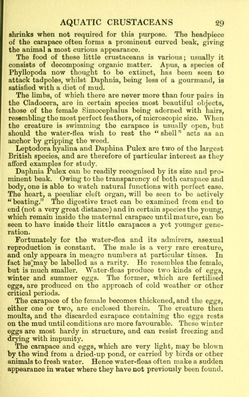 shrinks when not required for this purpose. The headpieco of the carapace often forms a prominent curved beak, giving the animal a most curious appearance. The food of these little crustaceans is various; usually it consists of decomposing organic matter. Apus, a species of Phyllopoda now thought to be extinct, has been seen to attack tadpoles, whilst Daphnia, being less of a gourmand, is satisfied with a diet of mud. The limbs, of which there are never more than four pairs in the Cladocera, are in certain species most beautiful objects, those of the female Simocephalus being adorned with hairs, resembling the most perfect feathers, of microscopic size. When the creature is swimming the carapace is usually open, but should the water-flea wish to rest the “ shell ” acts as an anchor by gripping the weed. Leptodora hyalina and Daphina Pulex are two of the largest British species, and are therefore of particular interest as they afford examples for study. Daphnia Pulex can be readily recognised by its size and pro- minent beak. Owing to the transparency of both carapace and body, one is able to watch natural functions with perfect ease. The heart, a peculiar cleft organ, will be seen to be actively u beating.” The digestive tract can be examined from end to end (not a very great distance) and in certain species the young, which remain inside the maternal carapace until mature, can be seen to have inside their little carapaces a yet younger gene- ration. Fortunately for the water-flea and its admirers, asexual reproduction is constant. The male is a very rare creature, and only appears in meagre numbers at particular times. In fact he*may be labelled as a rarity. He resembles the female, but is much smaller. Water-fleas produce two kinds of eggs, winter and summer eggs. The former, which are fertilised eggs, are produced on the approach of cold weather or other critical periods. The carapace of the female becomes thickened, and the eggs, either one or two, are enclosed therein. The creature then moults, and the discarded carapace containing the eggs rests on the mud until conditions are more favourable. These winter eggs are most hardy in structure, and can resist freezing and drying with impunity. The carapace and eggs, which are very light, may be blown by the wind from a dried-up pond, or carried by birds or other animals to fresh water. Hence water-fleas often make a sudden appearance in water where they have not previously been found.