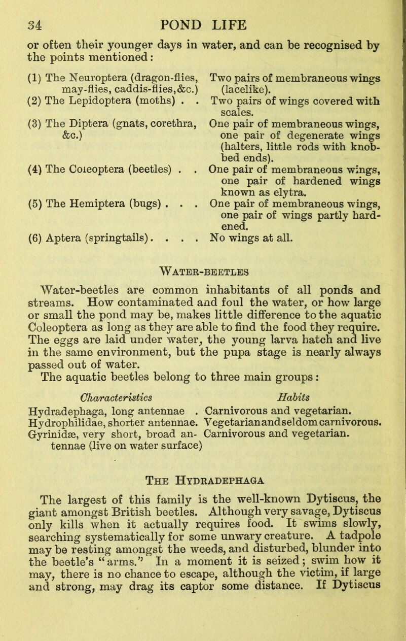 or often their younger days in water, and can be recognised by the points mentioned: (1) The Neuroptera (dragon-flies, may-flies, caddis-flies,&c.) (2) The Lepidoptera (moths) . . (3) The Diptera (gnats, corethra, &c.) (4) The Coieoptera (beetles) . . (5) The Hemiptera (bugs) . . . (6) Apt era (springtails). . . . Two pairs of membraneous wings (lacelike). Two pairs of wings covered with scales. One pair of membraneous wings, one pair of degenerate wings (halters, little rods with knob- bed ends). One pair of membraneous wings, one pair of hardened wings known as elytra. One pair of membraneous wings, one pair of wings partly hard- ened. No wings at all. Water-beetles Water-beetles are common inhabitants of all ponds and streams. How contaminated and foul the water, or how large or small the pond may be, makes little difference to the aquatic Coieoptera as long as they are able to find the food they require. The eggs are laid under water, the young larva hatch and live in the same environment, but the pupa stage is nearly always passed out of water. The aquatic beetles belong to three main groups: Characteristics Habits Hydradephaga, long antennae . Carnivorous and vegetarian. Hydrophilidae, shorter antennae. Vegetarian and seldom carnivorous. Gyrinidse, very short, broad an- Carnivorous and vegetarian, tennae (live on water surface) The Hydradephaga The largest of this family is the well-known Dytiscus, the giant amongst British beetles. Although very savage, Dytiscus only kills when it actually requires food. It swims slowly, searching systematically for some unwary creature. A tadpole may be resting amongst the weeds, and disturbed, blunder into the beetle's “arms.’’ In a moment it is seized; swim how it may, there is no chance to escape, although the victim, if large and strong, may drag its captor some distance. If Dytiscus