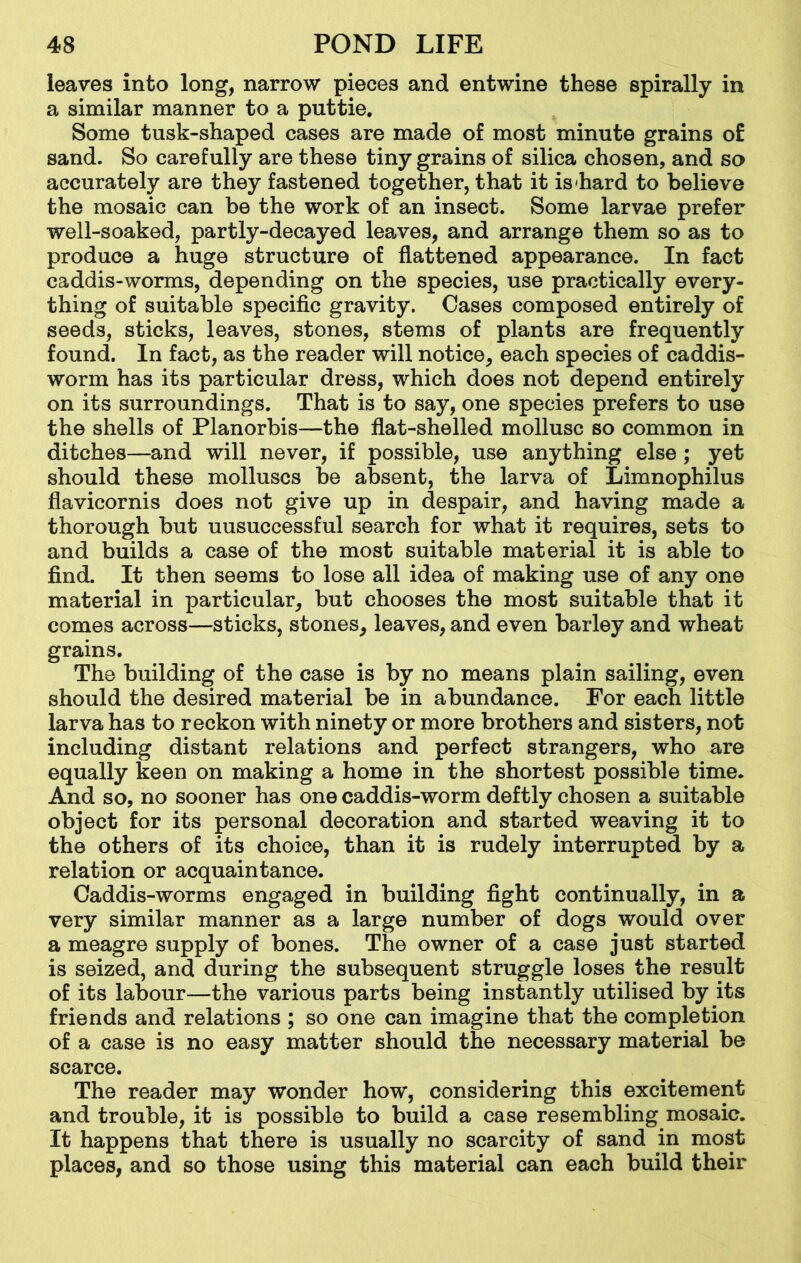 leaves into long, narrow pieces and entwine these spirally in a similar manner to a puttie. Some tusk-shaped cases are made of most minute grains of sand. So carefully are these tiny grains of silica chosen, and so accurately are they fastened together, that it is hard to believe the mosaic can be the work of an insect. Some larvae prefer well-soaked, partly-decayed leaves, and arrange them so as to produce a huge structure of flattened appearance. In fact caddis-worms, depending on the species, use practically every- thing of suitable specific gravity. Cases composed entirely of seeds, sticks, leaves, stones, stems of plants are frequently found. In fact, as the reader will notice, each species of caddis- worm has its particular dress, which does not depend entirely on its surroundings. That is to say, one species prefers to use the shells of Planorbis—the flat-shelled mollusc so common in ditches—and will never, if possible, use anything else ; yet should these molluscs be absent, the larva of Limnophilus flavicornis does not give up in despair, and having made a thorough but uusuccessful search for what it requires, sets to and builds a case of the most suitable material it is able to find. It then seems to lose all idea of making use of any one material in particular, but chooses the most suitable that it comes across—sticks, stones, leaves, and even barley and wheat grains. The building of the case is by no means plain sailing, even should the desired material be in abundance. For each little larva has to reckon with ninety or more brothers and sisters, not including distant relations and perfect strangers, who are equally keen on making a home in the shortest possible time. And so, no sooner has one caddis-worm deftly chosen a suitable object for its personal decoration and started weaving it to the others of its choice, than it is rudely interrupted by a relation or acquaintance. Caddis-worms engaged in building fight continually, in a very similar manner as a large number of dogs would over a meagre supply of bones. The owner of a case just started is seized, and during the subsequent struggle loses the result of its labour—the various parts being instantly utilised by its friends and relations ; so one can imagine that the completion of a case is no easy matter should the necessary material be scarce. The reader may wonder how, considering this excitement and trouble, it is possible to build a case resembling mosaic. It happens that there is usually no scarcity of sand in most places, and so those using this material can each build their