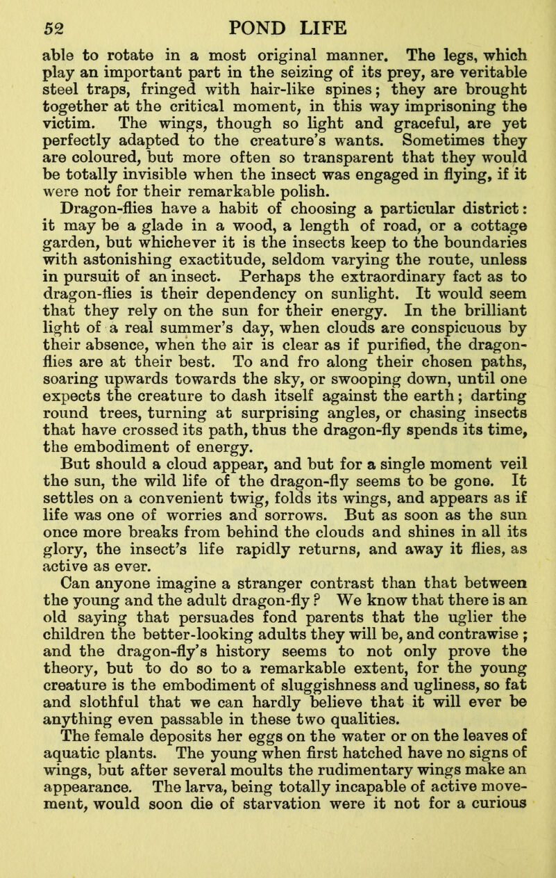 able to rotate in a most original manner. The legs, which play an important part in the seizing of its prey, are veritable steel traps, fringed with hair-like spines; they are brought together at the critical moment, in this way imprisoning the victim. The wings, though so light and graceful, are yet perfectly adapted to the creature’s wants. Sometimes they are coloured, but more often so transparent that they would be totally invisible when the insect was engaged in flying, if it were not for their remarkable polish. Dragon-flies have a habit of choosing a particular district: it may be a glade in a wood, a length of road, or a cottage garden, but whichever it is the insects keep to the boundaries with astonishing exactitude, seldom varying the route, unless in pursuit of an insect. Perhaps the extraordinary fact as to dragon-flies is their dependency on sunlight. It would seem that they rely on the sun for their energy. In the brilliant light of a real summer’s day, when clouds are conspicuous by their absence, when the air is clear as if purified, the dragon- flies are at their best. To and fro along their chosen paths, soaring upwards towards the sky, or swooping down, until one expects the creature to dash itself against the earth; darting round trees, turning at surprising angles, or chasing insects that have crossed its path, thus the dragon-fly spends its time, the embodiment of energy. But should a cloud appear, and but for a single moment veil the sun, the wild life of the dragon-fly seems to be gone. It settles on a convenient twig, folds its wings, and appears as if life was one of worries and sorrows. But as soon as the sun once more breaks from behind the clouds and shines in all its glory, the insect’s life rapidly returns, and away it flies, as active as ever. Can anyone imagine a stranger contrast than that between the young and the adult dragon-fly P We know that there is an old saying that persuades fond parents that the uglier the children the better-looking adults they will be, and contra wise ; and the dragon-fly’s history seems to not only prove the theory, but to do so to a remarkable extent, for the young creature is the embodiment of sluggishness and ugliness, so fat and slothful that we can hardly believe that it will ever be anything even passable in these two qualities. The female deposits her eggs on the water or on the leaves of aquatic plants. The young when first hatched have no signs of wings, but after several moults the rudimentary wings make an appearance. The larva, being totally incapable of active move- ment, would soon die of starvation were it not for a curious