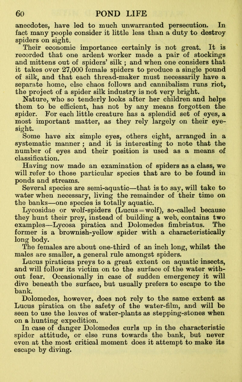 anecdotes, have led to much unwarranted persecution. In fact many people consider it little less than a duty to destroy spiders on sight. Their economic importance certainly is not great. It is recorded that one ardent worker made a pair of stockings and mittens out of spiders’ silk ; and when one considers that it takes over 27,000 female spiders to produce a single pound of silk, and that each thread-maker must necessarily have a separate home, else chaos follows and cannibalism runs riot, the project of a spider silk industry is not very bright. Nature, who so tenderly looks after her children and helps them to be efficient, has not by any means forgotten the spider. For each little creature has a splendid set of eyes, a most important matter, as they rely largely on their eye- sight. Some have six simple eyes, others eight, arranged in a systematic manner ; and it is interesting to note that the number of eyes and their position is used as a means of classification. Having now made an examination of spiders as a class, we will refer to those particular species that are to be found in ponds and streams. Several species are semi-aquatic—that is to say, will take to water when necessary, living the remainder of their time on the banks—one species is totally aquatic. Lycosidae or wolf-spiders (Lucus = wolf), so-called because they hunt their prey, instead of building a web, contains two examples—Lycosa piratica and Dolomedes fimbriatus. The former is a brownish-yellow spider with a characteristically long body. The females are about one-third of an inch long, whilst the males are smaller, a general rule amongst spiders. Lucus piraticus preys to a great extent on aquatic insects, and will follow its victim on to the surface of the water with- out fear. Occasionally in case of sudden emergency it will dive beneath the surface, but usually prefers to escape to the bank. Dolomedes, however, does not rely to the same extent as Lucus piratica on the safety of the water-film, and will be seen to use the leaves of water-plants as stepping-stones when on a hunting expedition. In case of danger Dolomedes curls up in the characteristic spider attitude, or else runs towards the bank, but never even at the most critical moment does it attempt to make its escape by diving.