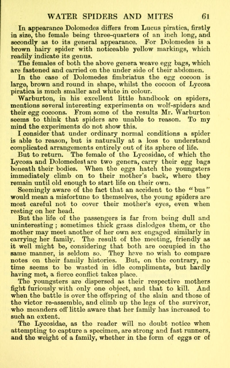 In appearance Dolomedes differs from Lucus piratica, firstly in size, the female being three-quarters of an inch long, and secondly as to its general appearance. For Dolomedes is a brown hairy spider with noticeable yellow markings, which readily indicate its genus. The females of both the above genera weave egg bags, which are fastened and carried on the under side of their abdomen. In the case of Dolomedes fimbriatus the egg cocoon is large, brown and round in shape, whilst the cocoon of Lycosa piratica is much smaller and white in colour. Warburton, in his excellent little handbook on spiders, mentions several interesting experiments on wolf-spiders and their egg cocoons. From some of the results Mr. Warburton seems to think that spiders are unable to reason. To my mind the experiments do not show this. I consider that under ordinary normal conditions a spider is able to reason, but is naturally at a loss to understand complicated arrangements entirely out of its sphere of life. But to return. The female of the Lycosidae, of which the Lycosa and Dolomedes! are two genera, carry their egg bags beneath their bodies. When the eggs hatch the youngsters immediately climb on to their mother's back, where they remain until old enough to start life on their own. Seemingly aware of the fact that an accident to the “ bus  would mean a misfortune to themselves, the young spiders are most careful not to cover their mother’s eyes, even when resting on her head. But the life of the passengers is far from being dull and uninteresting ; sometimes thick grass dislodges them, or the mother may meet another of her own sex engaged similarly in carrying her family. The result of the meeting, friendly as it well might be, considering that both are occupied in the same manner, is seldom so. They have no wish to compare notes on their family histories. But, on the contrary, no time seems to be wasted in idle compliments, but hardly having met, a fierce conflict takes place. The youngsters are dispersed as their respective mothers fight furiously with only one object, and that to kill. And when the battle is over the offspring of the slain and those of the victor re-assemble, and climb up the legs of the survivor, who meanders off little aware that her family has increased to such an extent. The Lycosidae, as the reader will no doubt notice when attempting to capture a specimen, are strong and fast runners, and the weight of a family, whether in the form of eggs or of