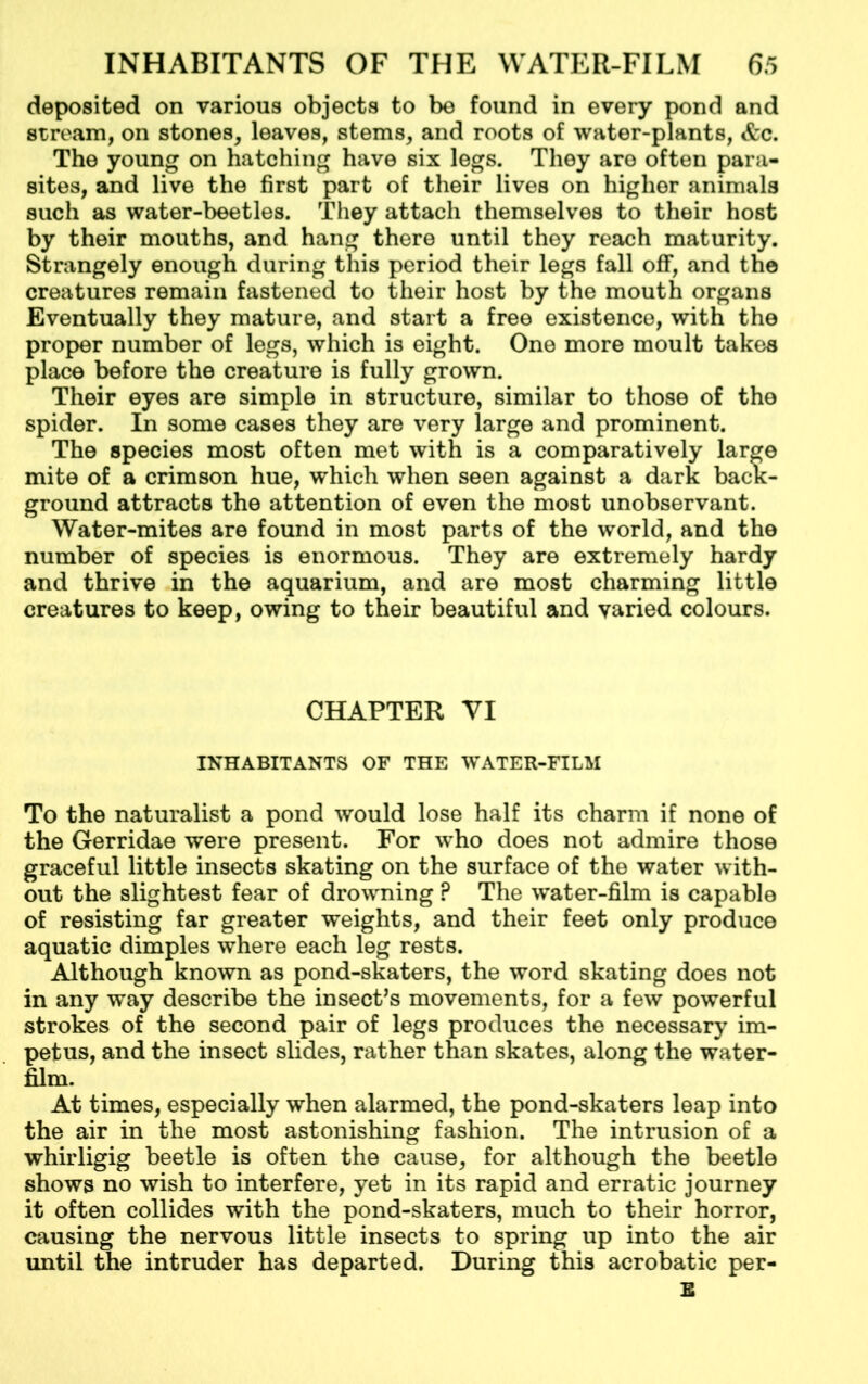 deposited on various objects to be found in every pond and stream, on stones, leaves, stems, and roots of water-plants, &c. The young on hatching have six legs. They are often para- sites, and live the first part of their lives on higher animals such as water-beetles. They attach themselves to their host by their mouths, and hang there until they reach maturity. Strangely enough during this period their legs fall off, and the creatures remain fastened to their host by the mouth organs Eventually they mature, and start a free existence, with the proper number of legs, which is eight. One more moult takes place before the creature is fully grown. Their eyes are simple in structure, similar to those of the spider. In some cases they are very large and prominent. The species most often met with is a comparatively large mite of a crimson hue, which when seen against a dark back- ground attracts the attention of even the most unobservant. Water-mites are found in most parts of the world, and the number of species is enormous. They are extremely hardy and thrive in the aquarium, and are most charming little creatures to keep, owing to their beautiful and varied colours. CHAPTER VI INHABITANTS OF THE WATER-FILM To the naturalist a pond would lose half its charm if none of the Gerridae were present. For who does not admire those graceful little insects skating on the surface of the water with- out the slightest fear of drowning P The water-film is capable of resisting far greater weights, and their feet only produce aquatic dimples where each leg rests. Although known as pond-skaters, the word skating does not in any way describe the insect’s movements, for a few powerful strokes of the second pair of legs produces the necessary im- petus, and the insect slides, rather than skates, along the water- film. At times, especially when alarmed, the pond-skaters leap into the air in the most astonishing fashion. The intrusion of a whirligig beetle is often the cause, for although the beetle shows no wish to interfere, yet in its rapid and erratic journey it often collides with the pond-skaters, much to their horror, causing the nervous little insects to spring up into the air until the intruder has departed. During this acrobatic per- E