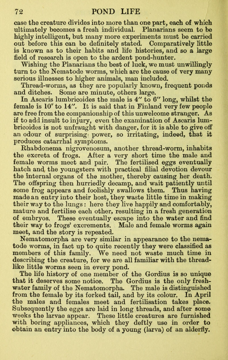 case the creature divides into more than one part, each of which ultimately becomes a fresh individual. Planarians seem to be highly intelligent, but many more experiments must be carried out before this can be definitely stated. Comparatively little is known as to their habits and life histories, and so a large field of research is open to the ardent pond-hunter. Wishing the Planarians the best of luck, we must unwillingly turn to the Nematode worms, which are the cause of very many serious illnesses to higher animals, man included. Thread-worms, as they are popularly known, frequent ponds and ditches. Some are minute, others large. In Ascaris lumbricoides the male is 4 to 6 long, whilst the female is 10 to 14. It is said that in Finland very few people are free from the companionship of this unwelcome stranger. As if to add insult to injury, even the examination of Ascaris lum- bricoides is not unfraught with danger, for it is able to give off an odour of surprising; power, so irritating, indeed, that it produces catarrhal symptoms. Phabdonema nigrovenosum, another thread-worm, inhabits the excreta of frogs. After a very short time the male and female worms meet and pair. The fertilised eggs eventually hatch and the youngsters with practical filial devotion devour the internal organs of the mother, thereby causing her death. The offspring then hurriedly decamp, and wait patiently until some frog appears and foolishly swallows them. Thus having made an entry into their host, they waste little time in making their way to the lungs : here they live happily and comfortably, mature and fertilise each other, resulting in a fresh generation of embryos. These eventually escape into the water and find their way to frogs’ excrements. Male and female worms again meet, and the story is repeated. Nematomorpha are very similar in appearance to the nema- tode worms, in fact up to quite recently they were classified as members of this family. We need not waste much time in describing the creature, for we are all familiar with the thread- like little worms seen in every pond. The life history of one member of the Gordius is so unique that it deserves some notice. The Gordius is the only fresh- water family of the Nematomorpha. The male is distinguished from the female by its forked tail, and by its colour. In April the males and females meet and fertilisation takes place. Subsequently the eggs are laid in long threads, and after some weeks the larvae appear. These little creatures are furnished with boring appliances, which they deftly use in order to obtain an entry into the body of a young (larva) of an alderfly.