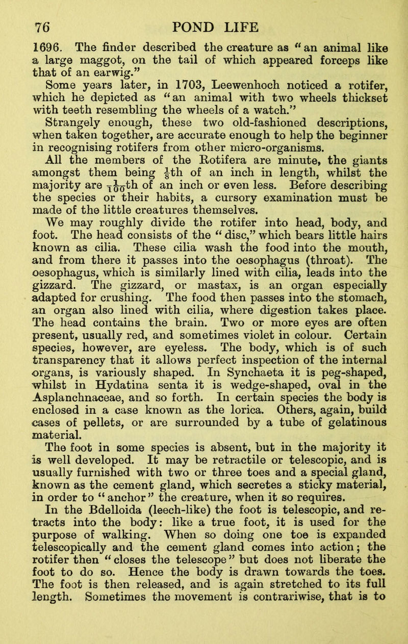 1696. The finder described the creature as “an animal like a large maggot, on the tail of which appeared forceps like that of an earwig.” Some years later, in 1703, Leewenhoch noticed a rotifer, which he depicted as “an animal with two wheels thickset with teeth resembling the wheels of a watch/’ Strangely enough, these two old-fashioned descriptions, when taken together, are accurate enough to help the beginner in recognising rotifers from other micro-organisms. All the members of the Eotifera are minute, the giants amongst them being Jth of an inch in length, whilst the majority are TJ<yth of an inch or even less. Before describing the species or their habits, a cursory examination must be made of the little creatures themselves. We may roughly divide the rotifer into head, body, and foot. The head consists of the “ disc,” which bears little hairs known as cilia. These cilia wash the food into the mouth, and from there it passes into the oesophagus (throat). The oesophagus, which is similarly lined with cilia, leads into the gizzard. The gizzard, or mastax, is an organ especially adapted for crushing. The food then passes into the stomach, an organ also lined with cilia, where digestion takes place. The head contains the brain. Two or more eyes are often present, usually red, and sometimes violet in colour. Certain species, however, are eyeless. The body, which is of such transparency that it allows perfect inspection of the internal organs, is variously shaped. In Synchaeta it is peg-shaped, whilst in Hydatina senta it is wedge-shaped, oval in the Asplanchnaceae, and so forth. In certain species the body is enclosed in a case known as the lorica. Others, again, build cases of pellets, or are surrounded by a tube of gelatinous material. The foot in some species is absent, but in the majority it is well developed. It may be retractile or telescopic, and is usually furnished with two or three toes and a special gland, known as the cement gland, which secretes a sticky material, in order to  anchor ” the creature, when it so requires. In the Bdelloida (leech-like) the foot is telescopic, and re- tracts into the body: like a true foot, it is used for the purpose of walking. When so doing one toe is expanded telescopically and the cement gland comes into action; the rotifer then “ closes the telescope ” but does not liberate the foot to do so. Hence the body is drawn towards the toes. The foot is then released, and is again stretched to its full length. Sometimes the movement is contrariwise, that is to