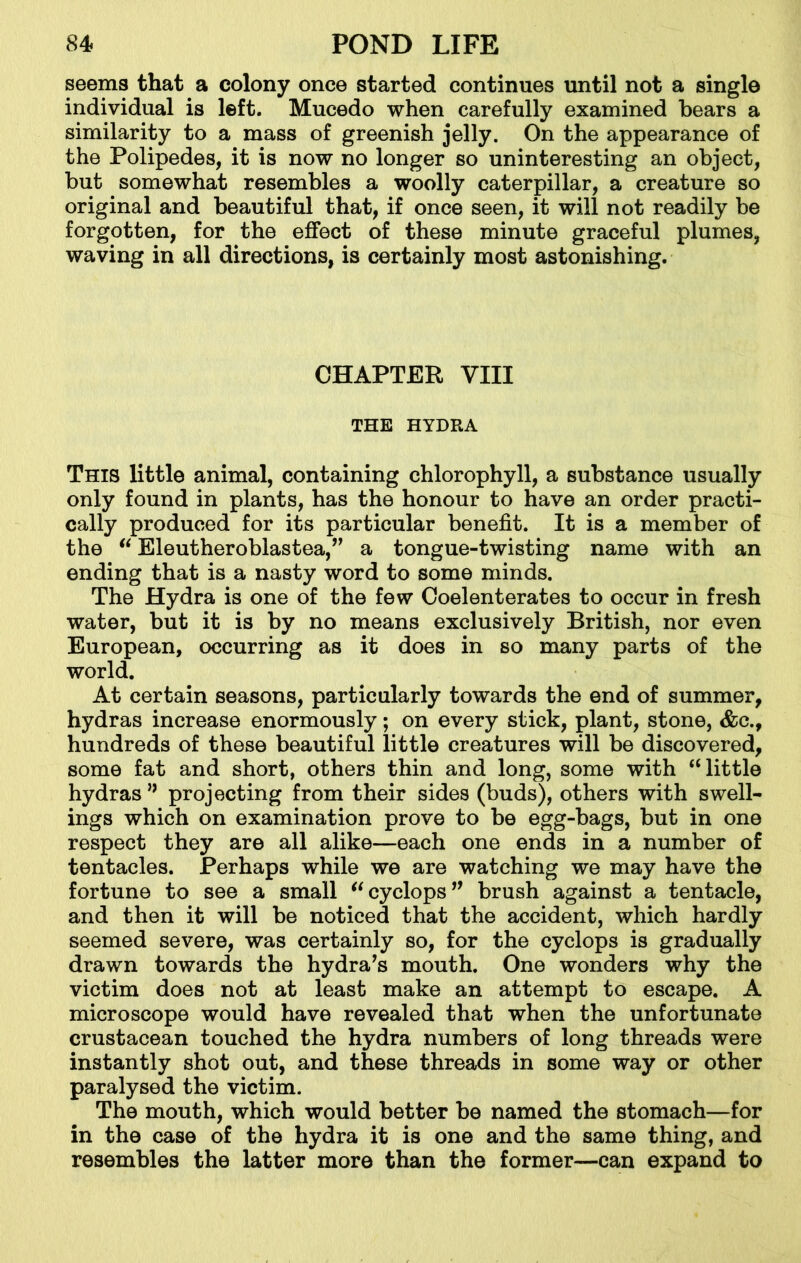 seems that a colony once started continues until not a single individual is left, Mucedo when carefully examined bears a similarity to a mass of greenish jelly. On the appearance of the Polipedes, it is now no longer so uninteresting an object, but somewhat resembles a woolly caterpillar, a creature so original and beautiful that, if once seen, it will not readily be forgotten, for the effect of these minute graceful plumes, waving in all directions, is certainly most astonishing. CHAPTER VIII THE HYDRA This little animal, containing chlorophyll, a substance usually only found in plants, has the honour to have an order practi- cally produced for its particular benefit. It is a member of the “ Eleutheroblastea,,, a tongue-twisting name with an ending that is a nasty word to some minds. The Hydra is one of the few Coelenterates to occur in fresh water, but it is by no means exclusively British, nor even European, occurring as it does in so many parts of the world. At certain seasons, particularly towards the end of summer, hydras increase enormously; on every stick, plant, stone, &c., hundreds of these beautiful little creatures will be discovered, some fat and short, others thin and long, some with “little hydras n projecting from their sides (buds), others with swell- ings which on examination prove to be egg-bags, but in one respect they are all alike—each one ends in a number of tentacles. Perhaps while we are watching we may have the fortune to see a small “cyclops” brush against a tentacle, and then it will be noticed that the accident, which hardly seemed severe, was certainly so, for the cyclops is gradually drawn towards the hydra’s mouth. One wonders why the victim does not at least make an attempt to escape. A microscope would have revealed that when the unfortunate crustacean touched the hydra numbers of long threads were instantly shot out, and these threads in some way or other paralysed the victim. The mouth, which would better be named the stomach—for in the case of the hydra it is one and the same thing, and resembles the latter more than the former—can expand to