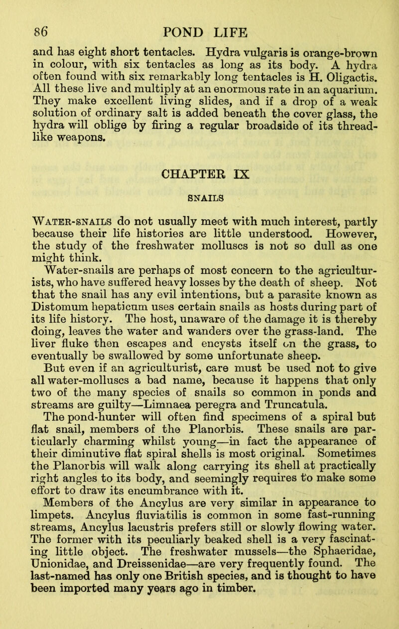and has eight short tentacles. Hydra vulgaris is orange-brown in colour, with six tentacles as long as its body. A hydra often found with six remarkably long tentacles is H. Oligactis. All these live and multiply at an enormous rate in an aquarium. They make excellent living slides, and if a drop of a weak solution of ordinary salt is added beneath the cover glass, the hydra will oblige by firing a regular broadside of its thread- like weapons. CHAPTER IX SNAILS Water-snails do not usually meet with much interest, partly because their life histories are little understood. However, the study of the freshwater molluscs is not so dull as one might think. Water-snails are perhaps of most concern to the agricultur- ists, who have suffered heavy losses by the death of sheep. Not that the snail has any evil intentions, but a parasite known as Distomum hepaticum uses certain snails as hosts during part of its life history. The host, unaware of the damage it is thereby doing, leaves the water and wanders over the grass-land. The liver fluke then escapes and encysts itself on the grass, to eventually be swallowed by some unfortunate sheep. But even if an agriculturist, care must be used not to give all water-molluscs a bad name, because it happens that only two of the many species of snails so common in ponds and streams are guilty—Limnaea peregra and Truncatula. The pond-hunter will often find specimens of a spiral but flat snail, members of the Planorbis. These snails are par- ticularly charming whilst young—in fact the appearance of their diminutive flat spiral shells is most original. Sometimes the Planorbis will walk along carrying its shell at practically right angles to its body, and seemingly requires to make some effort to draw its encumbrance with it. Members of the Ancylus are very similar in appearance to limpets. Ancylus fluviatilis is common in some fast-running streams, Ancylus lacustris prefers still or slowly flowing water. The former with its peculiarly beaked shell is a very fascinat- ing little object. The freshwater mussels—the Sphaeridae, Unionidae, and Dreissenidae—are very frequently found. The last-named has only one British species, and is thought to have been imported many years ago in timber.