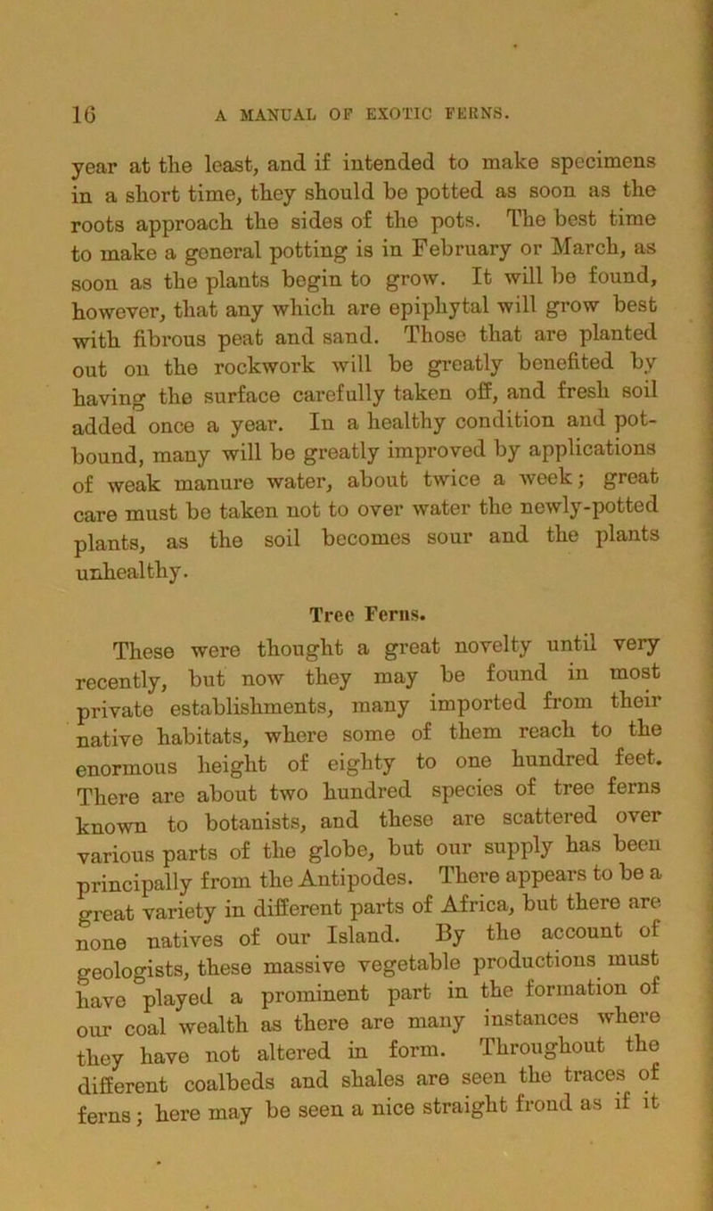 year at the least, and if intended to make specimens in a short time, they should be potted as soon as the roots approach the sides of the pots. The best time to make a general potting is in February or March, as soon as the plants begin to grow. It will be found, however, that any which are epiphytal will grow best with fibrous peat and sand. Those that are planted out on the rockwork will be greatly benefited by having the surface carefully taken off, and fresh soil added once a year. In a healthy condition and pot- bound, many will be greatly improved by applications of weak manure water, about twice a week; great care must be taken not to over water the newly-potted plants, as the soil becomes sour and the plants unhealthy. Tree Ferns. These were thought a great novelty until very recently, but now they may be found in most private establishments, many imported from then- native habitats, where some of them reach to the enormous height of eighty to one hundred feet. There are about two hundred species of tree ferns known to botanists, and these are scattered over various parts of the globe, but our supply has been principally from the Antipodes. There appears to be a great variety in different parts of Africa, but there are none natives of our Island. By the account of geologists, these massive vegetable productions must have played a prominent part in the formation of our coal wealth as there are many instances where they have not altered in form. Throughout the different coalbeds and shales are seen the traces of ferns; here may be seen a nice straight frond as if it