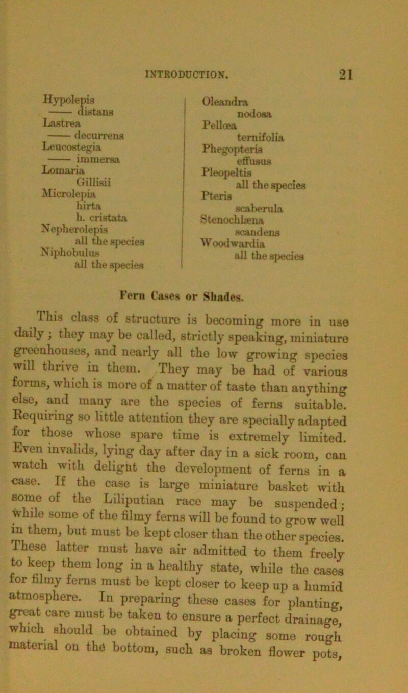 Oleandra nodoaa Pelloea temifolia Phegopteria etfusus Pleopeltia all the species Pteris scaberula Stenochlaena acandens Woodwardia all theapeciea Lastrea decurrens Leueostegia immersa Lomaria Gillisii Microlepia liirta h. cristata Nepherolepis all the species Niphobulua all the species Fern Cases or Shades. This class of structure is becoming more in use daily ; they may be called, strictly speaking, miniature greenhouses, and nearly all the low growing species will thrive in them. They may be had of various forms, which is more of a matter of taste than anything else, and many are the species of ferns suitable. Requiring so little attention they are specially adapted for those whose spare time is extremely limited. Even invalids, lying day after day in a sick room, can watch with deligut the development of ferns in a case. If the case is large miniature basket with some of the Liliputian race may be suspended; while some of the filmy ferns will be found to grow well in them, but must be kept closer than the other species. These latter must have air admitted to them freely to keep them long in a healthy state, while the cases for filmy ferns must be kept closer to keep up a humid atmosphere. In preparing these cases for planting great care must be taken to ensure a perfect drainage* which should be obtained by placing some rough material on the bottom, such as broken flower pots.