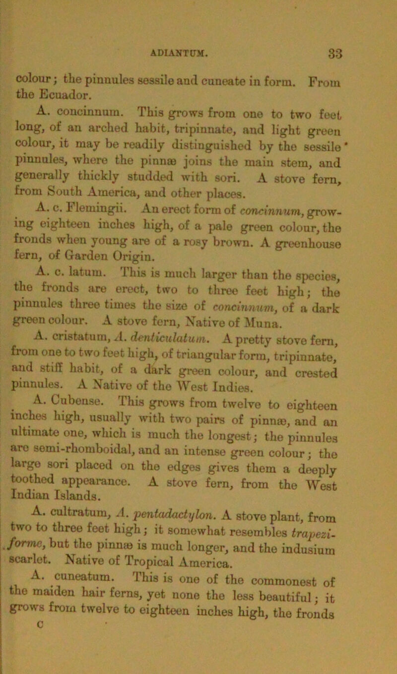 colour; the pinnules sessile and cuneate in form. From the Ecuador. A. concinnum. This grows from one to two feet long, of an arched habit, tripinnate, and light green colour, it may be readily distinguished by the sessile * pinnules, where the pinna) joins the main stem, and generally thickly studded with sori. A stove fern, from South America, and other places. A. c. F lemingii. An erect form of concinnum, grow- ing eighteen inches high, of a pale green colour, the fronds when young are of a rosy brown. A greenhouse fern, of Garden Origin. A. c. latum. This is much larger than the species, the fronds are erect, two to three feet high; the piunules three times the size of concinnum, of a dark green colour. A stove fern, Native of Muna. A. cristatum, A. dcnticulcUutn. A pretty stove fern, from one to two feet high, of triangular form, tripinnate, and stiff habit, of a dark green colour, and crested pinnules. A Native of the West Indies. A. Cubenae. This grows from twelve to eighteen inches high, usually with two pairs of pinna), and an ultimate one, which is much the longest; the pinnules aro semi-rhomboidal, and an intense green colour; the large sori placed on the edges gives them a deeply toothed appearance. A stove fern, from the West Indian Islands. A. cultratum, A. pentadadylon. A stove plant, from two to three feet high; it somewhat resembles trapezi- , forme, but the pinme is much longer, and the indusium scarlet. Native of Tropical America. A. cuneatum. This is one of the commonest of the maiden hair ferns, yet none the less beautiful; it grows from twelve to eighteen inches high, the fronds c