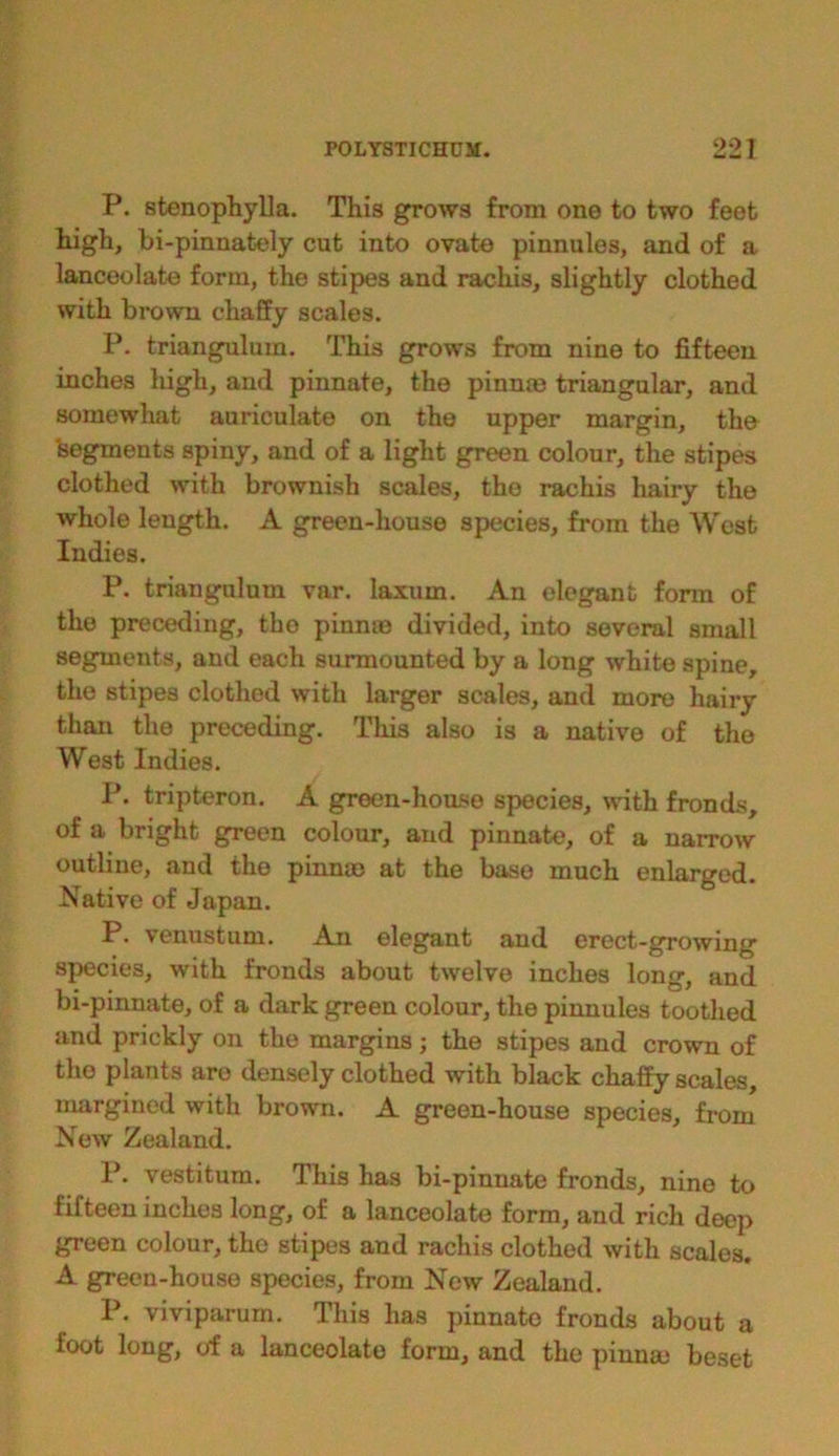 P. stenophylla. This grows from one to two feet high, bi-pinnately cut into ovate pinnules, and of a lanceolate form, the stipes and rachis, slightly clothed with brown chaffy scales. P. triangulum. This grows from nine to fifteen inches high, and pinnate, the pinna? triangular, and somewhat auriculate on the upper margin, the Segments spiny, and of a light green colour, the stipes clothed with brownish scales, tho rachis hairy the whole length. A green-house species, from the West Indies. P. triangulum var. laxum. An elegant form of the preceding, tho pinna? divided, into several small segments, and each surmounted by a long white spine, the stipes clothed with larger scales, and more hairy than the preceding. This also is a native of the West Indies. P. tripteron. A green-house species, with fronds, of a bright green colour, and pinnate, of a narrow outline, and the pinnae at the base much enlarged. Native of Japan. P. venustum. An elegant and erect-growing species, with fronds about twelve inches long, and bi-pinnate, of a dark green colour, the pinnules toothed and prickly on the margins; the stipes and crown of the plants are densely clothed with black chaffy scales, margined with brown. A green-house species, from New Zealand. 1*. vestitum. This has bi-pinnate fronds, nine to fifteen inches long, of a lanceolate form, and rich deep green colour, the stipes and rachis clothed with scales. A green-house species, from New Zealand. P. viviparuin. This has pinnate fronds about a foot long, of a lanceolate form, and the pinna? beset