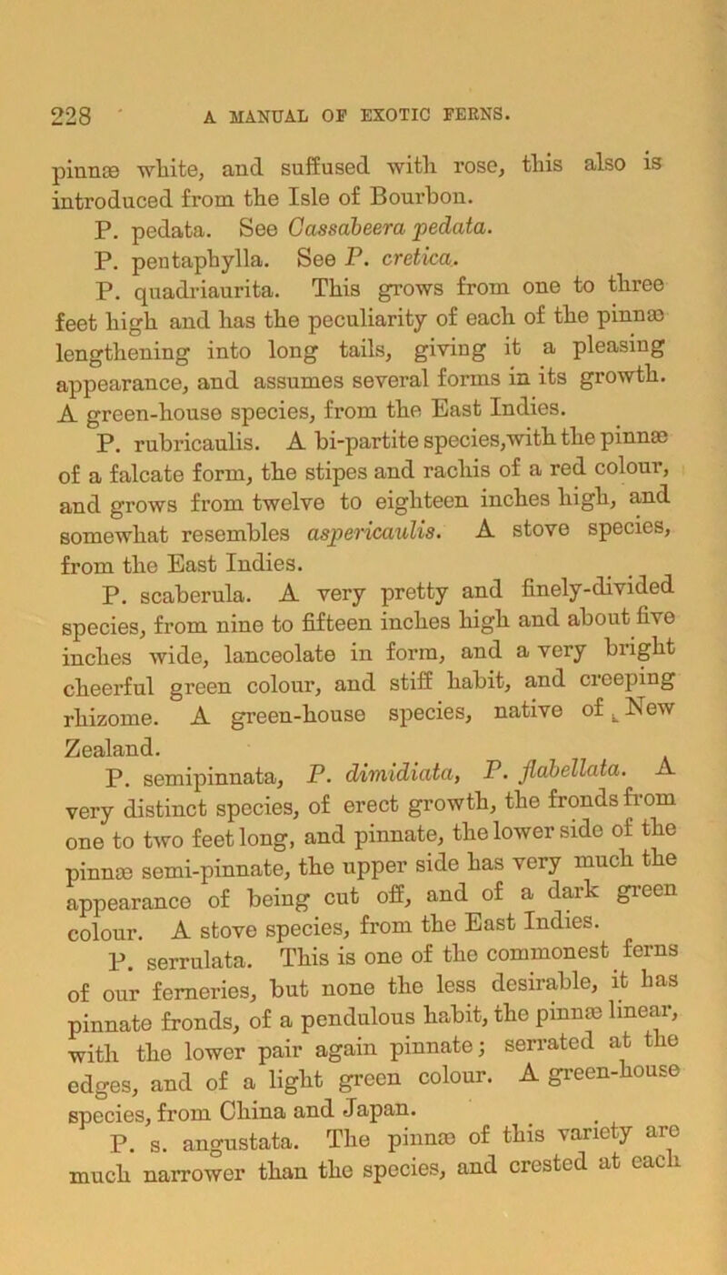pinnae white, and suffused with rose, this also is introduced from the Isle of Bourbon. P. pedata. See Cassabeera pedata. P. pentaphylla. See P. cretica.. P. quadriaurita. This grows from one to three feet high and has the peculiarity of each of the pinnae lengthening into long tails, giving it a pleasing appearance, and assumes several forms in its growth. A green-house species, from the East Indies. P. rubricaulis. A bi-partite species,with the pinnae of a falcate form, the stipes and rachis of a red colour, and grows from twelve to eighteen inches high, and somewhat resembles aspericaulis. A stove species, from the East Indies. P. scaberula. A very pretty and finely-divided species, from nine to fifteen inches high and about fivo inches wide, lanceolate in form, and a very bright cheerful green colour, and stiff habit, and weeping rhizome. A green-house species, native of k New Zealand. P. semipinnata, P. dimidiata, P. jlabellata. A very distinct species, of erect growth, the fronds from one to two feet long, and pinnate, the lower side of the pinnm semi-pinnate, the upper side has very much the appearance of being cut off, and of a dark green colour. A stove species, from the East Indies. P. serrulata. This is one of the commonest ferns of our ferneries, but none the less desirable, it has pinnate fronds, of a pendulous habit, the pmme linear, with the lower pair again pinnate; serrated at the edges, and of a light green colour. A green-house species, from China and Japan. P. s. angustata. The pinnm of this variety are much narrower than the species, and crested at each