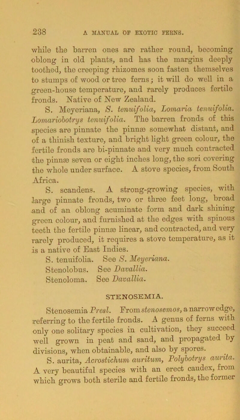 while the barren ones are rather round, becoming oblong in old plants, and has the margins deeply toothed, the creeping rhizomes soon fasten themselves to stumps of wood or tree ferns; it will do well in a green-house temperature, and rarely produces fertile fronds. Native of New Zealand. S. Meyeriana, S. tenuifolia, Lomaria tenuifolia. Lomciriobotrys tenuifolia. The barren fronds of this species are pinnate the pinna) somewhat distant, and of a tliinish texture, and bright light green colour, the fertile fronds are bi-pinnate and very much contracted the pinnm seven or eight inches long, the sori covering the whole under surface. A stove species, from South Africa. S. scandens. A strong-growing species, with large pinnate fronds, two or three feet long, broad and of an oblong acuminate form and dark shining green colour, and furnished at the edges with spinous teeth the fertile pinna) linear, and contracted, and very rarely produced, it requires a stove temperature, as it is a native of East Indies. S. tenuifolia. See 8. Meyeriana. Stenolobus. See Davallia. Stenoloma. See Davallia. STENOSEMIA. Stenosemia Presl. From stenosemos, a narrow edge, referring to the fertile fronds. A genus of ferns with only one solitary species in cultivation, they succeed well grown in peat and sand, and propagated by divisions, when obtainable, and also by spores. S. aurita, Acrostichum auritum, Polybotrys aurita. A very beautiful species with an erect caudex, from which grows both sterile and fertile fronds, the former