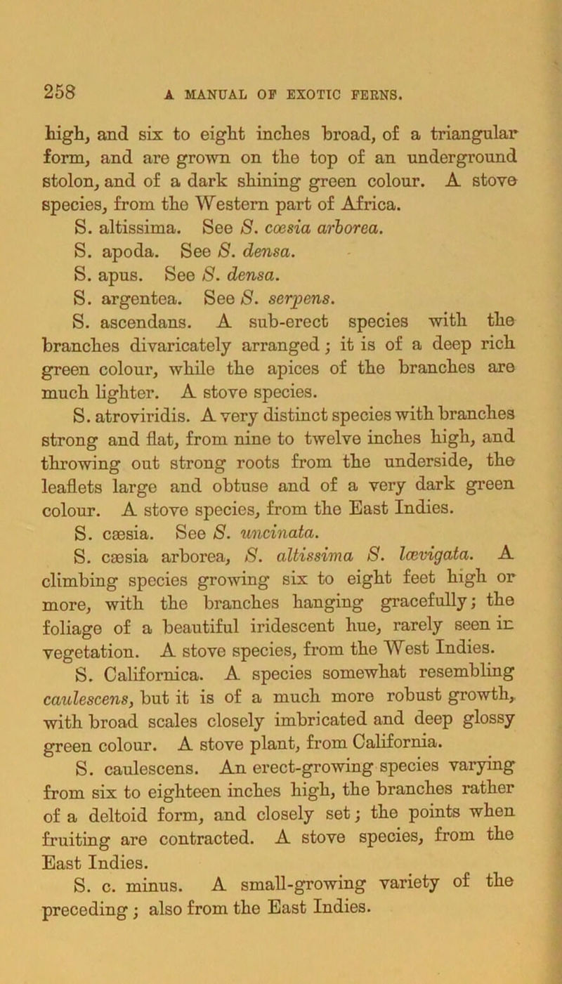 high, and six to eight inches broad, of a triangular form, and are grown on the top of an underground stolon, and of a dark shining green colour. A stove species, from the Western part of Africa. S. altissima. See S. coesia arborea. S. apoda. See 8. densa. S. apus. See 8. densa. S. argentea. See S. serpens. S. ascendans. A sub-erect species with the branches divaricately arranged; it is of a deep rich green colour, while the apices of the branches are much lighter. A stove species. S. atroviridis. A very distinct species with branches strong and flat, from nine to twelve inches high, and throwing out strong roots from the underside, the leaflets large and obtuse and of a very dark green colour. A stove species, from the East Indies. S. caesia. See S. uncinata. S. caesia arborea, 8. altissima 8. Icovigata. A climbing species growing six to eight feet high or more, with the branches hanging gracefully; the foliage of a beautiful iridescent hue, rarely seen in vegetation. A stove species, from the West Indies. S. Californica. A species somewhat resembling caulescens, but it is of a much more robust growth, with broad scales closely imbricated and deep glossy green colour. A stove plant, from California. S. caulescens. An erect-growing species varying from six to eighteen inches high, the branches rather of a deltoid form, and closely set; the points when fruiting are contracted. A stove species, from the East Indies. S. c. minus. A small-growing variety of the preceding ; also from the East Indies.