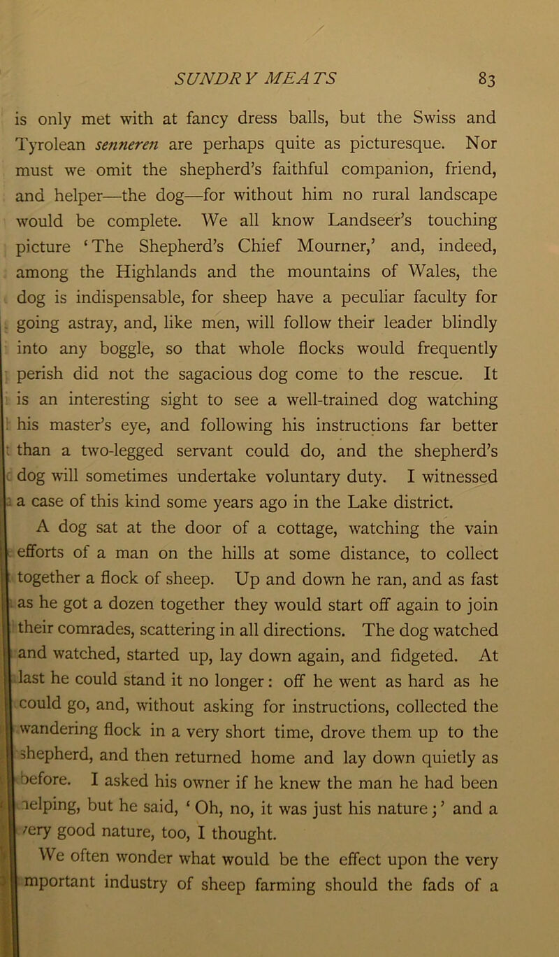 is only met with at fancy dress balls, but the Swiss and Tyrolean senneren are perhaps quite as picturesque. Nor must we omit the shepherd’s faithful companion, friend, and helper—the dog—for without him no rural landscape would be complete. We all know Landseer’s touching picture ‘The Shepherd’s Chief Mourner,’ and, indeed, among the Highlands and the mountains of Wales, the dog is indispensable, for sheep have a peculiar faculty for going astray, and, like men, will follow their leader blindly into any boggle, so that whole flocks would frequently perish did not the sagacious dog come to the rescue. It is an interesting sight to see a well-trained dog watching his master’s eye, and following his instructions far better than a two-legged servant could do, and the shepherd’s dog will sometimes undertake voluntary duty. I witnessed a case of this kind some years ago in the Lake district. A dog sat at the door of a cottage, watching the vain efforts of a man on the hills at some distance, to collect together a flock of sheep. Up and down he ran, and as fast as he got a dozen together they would start off again to join their comrades, scattering in all directions. The dog watched and watched, started up, lay down again, and fidgeted. At last he could stand it no longer: off he went as hard as he could go, and, without asking for instructions, collected the j wandering flock in a very short time, drove them up to the shepherd, and then returned home and lay down quietly as before. I asked his owner if he knew the man he had been aelping, but he said, ‘ Oh, no, it was just his nature; ’ and a /ery good nature, too, I thought. We often wonder what would be the effect upon the very mportant industry of sheep farming should the fads of a