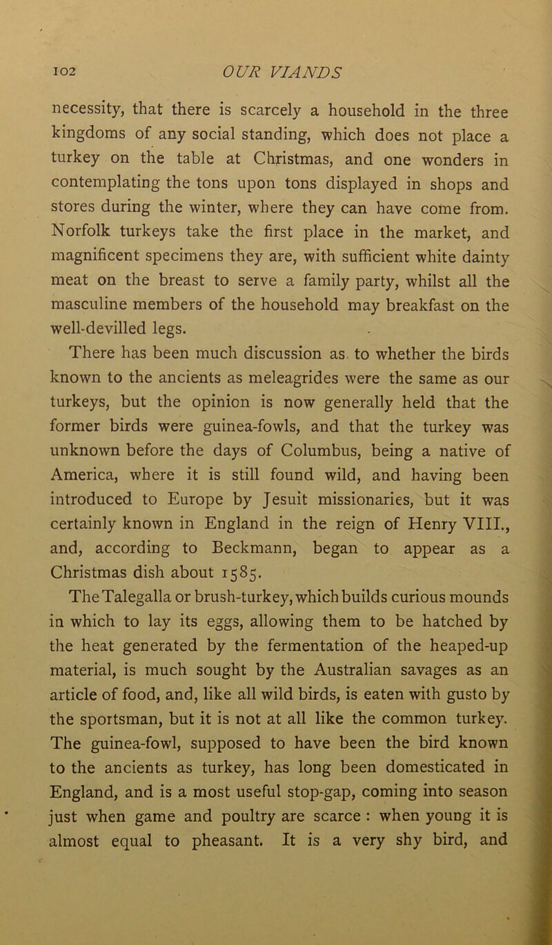 necessity, that there is scarcely a household in the three kingdoms of any social standing, which does not place a turkey on the table at Christmas, and one wonders in contemplating the tons upon tons displayed in shops and stores during the winter, where they can have come from. Norfolk turkeys take the first place in the market, and magnificent specimens they are, with sufficient white dainty meat on the breast to serve a family party, whilst all the masculine members of the household may breakfast on the well-devilled legs. There has been much discussion as. to whether the birds known to the ancients as meleagrides were the same as our turkeys, but the opinion is now generally held that the former birds were guinea-fowls, and that the turkey was unknown before the days of Columbus, being a native of America, where it is still found wild, and having been introduced to Europe by Jesuit missionaries, but it was certainly known in England in the reign of Henry VIII., and, according to Beckmann, began to appear as a Christmas dish about 1585. TheTalegalla or brush-turkey, which builds curious mounds in which to lay its eggs, allowing them to be hatched by the heat generated by the fermentation of the heaped-up material, is much sought by the Australian savages as an article of food, and, like all wild birds, is eaten with gusto by the sportsman, but it is not at all like the common turkey. The guinea-fowl, supposed to have been the bird known to the ancients as turkey, has long been domesticated in England, and is a most useful stop-gap, coming into season just when game and poultry are scarce : when young it is almost equal to pheasant. It is a very shy bird, and