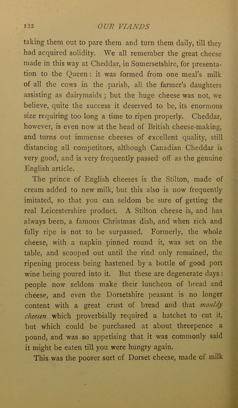 taking them out to pare them and turn them daily, till they had acquired solidity. We all remember the great cheese made in this way at Cheddar, in Somersetshire, for presenta- tion to the Queen : it was formed from one meal’s milk of all the cows in the parish, all the farmer’s daughters assisting as dairymaids ; but the huge cheese was not, we believe, quite the success it deserved to be, its enormous size requiring too long a time to ripen properly. Cheddar, however, is even now at the head of British cheese-making, and turns out immense cheeses of excellent quality, still distancing all competitors, although Canadian Cheddar is very good, and is very frequently passed- off as the genuine English article. The prince of English cheeses is the Stilton, made of cream added to new milk, but this also is now frequently imitated, so that you can seldom be sure of getting the real Leicestershire product. A Stilton cheese is, and has always been, a famous Christmas dish, and when rich and fully ripe is not to be surpassed. Formerly, the whole cheese, with a napkin pinned round it, was set on the table, and scooped out until the rind only remained, the ripening process being hastened by a bottle of good port wine being poured into it. But these are degenerate days : people now seldom make their luncheon of bread and cheese, and even the Dorsetshire peasant is no longer content with a great crust of bread and that mouldy cheesen which proverbially required a hatchet to cut it, but which could be purchased at about threepence a pound, and was so appetising that it was commonly said it might be eaten till you were hungry again. This was the poorer sort of Dorset cheese, made of milk