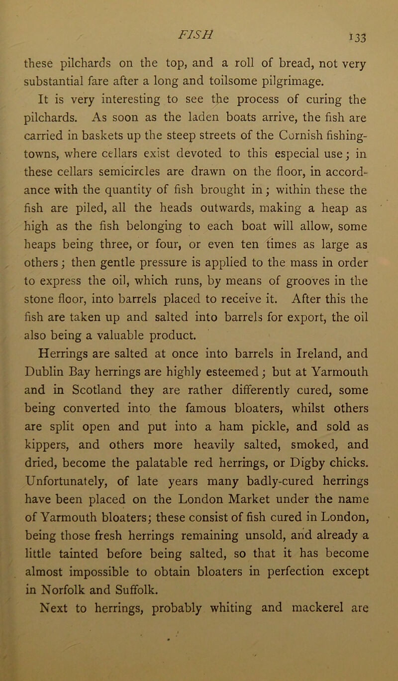these pilchards on the top, and a roll of bread, not very substantial fare after a long and toilsome pilgrimage. It is very interesting to see the process of curing the pilchards. As soon as the laden boats arrive, the fish are carried in baskets up the steep streets of the Cornish fishing- towns, where cellars exist devoted to this especial use; in these cellars semicircles are drawn on the floor, in accord- ance with the quantity of fish brought in; within these the fish are piled, all the heads outwards, making a heap as high as the fish belonging to each boat will allow, some heaps being three, or four, or even ten times as large as others; then gentle pressure is applied to the mass in order to express the oil, which runs, by means of grooves in the stone floor, into barrels placed to receive it. After this the fish are taken up and salted into barrels for export, the oil also being a valuable product. Herrings are salted at once into barrels in Ireland, and Dublin Bay herrings are highly esteemed; but at Yarmouth and in Scotland they are rather differently cured, some being converted into the famous bloaters, whilst others are split open and put into a ham pickle, and sold as kippers, and others more heavily salted, smoked, and dried, become the palatable red herrings, or Digby chicks. Unfortunately, of late years many badly-cured herrings have been placed on the London Market under the name of Yarmouth bloaters; these consist of fish cured in London, being those fresh herrings remaining unsold, and already a little tainted before being salted, so that it has become almost impossible to obtain bloaters in perfection except in Norfolk and Suffolk. Next to herrings, probably whiting and mackerel are