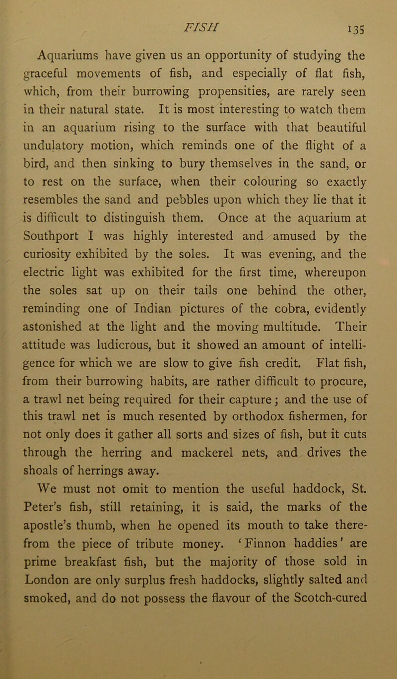 Aquariums have given us an opportunity of studying the graceful movements of fish, and especially of flat fish, which, from their burrowing propensities, are rarely seen in their natural state. It is most interesting to watch them in an aquarium rising to the surface with that beautiful undulatory motion, which reminds one of the flight of a bird, and then sinking to bury themselves in the sand, or to rest on the surface, when their colouring so exactly resembles the sand and pebbles upon which they lie that it is difficult to distinguish them. Once at the aquarium at Southport I was highly interested and amused by the curiosity exhibited by the soles. It was evening, and the electric light was exhibited for the first time, whereupon the soles sat up on their tails one behind the other, reminding one of Indian pictures of the cobra, evidently astonished at the light and the moving multitude. Their attitude was ludicrous, but it showed an amount of intelli- gence for which we are slow to give fish credit. Flat fish, from their burrowing habits, are rather difficult to procure, a trawl net being required for their capture; and the use of this trawl net is much resented by orthodox fishermen, for not only does it gather all sorts and sizes of fish, but it cuts through the herring and mackerel nets, and drives the shoals of herrings away. We must not omit to mention the useful haddock, St. Peter’s fish, still retaining, it is said, the marks of the apostle’s thumb, when he opened its mouth to take there- from the piece of tribute money. ‘ Finnon baddies ’ are prime breakfast fish, but the majority of those sold in London are only surplus fresh haddocks, slightly salted and smoked, and do not possess the flavour of the Scotch-cured