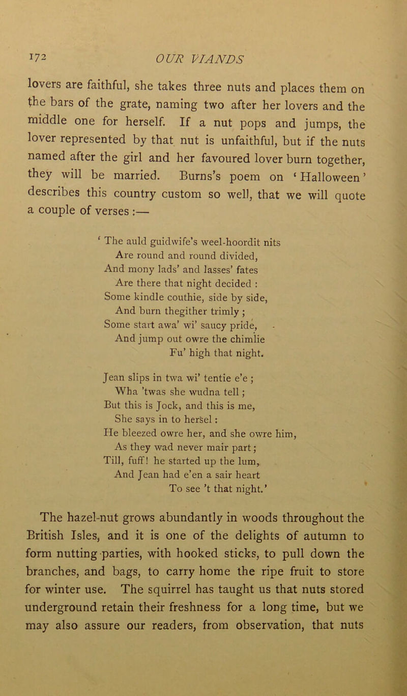lovers are faithful, she takes three nuts and places them on the bars of the grate, naming two after her lovers and the middle one for herself. If a nut pops and jumps, the lover represented by that nut is unfaithful, but if the nuts named after the girl and her favoured lover burn together, they will be married. Burns’s poem on ‘ Halloween ’ describes this country custom so well, that we will quote a couple of verses :— ‘ The auld guidwife’s weel-hoordit nits Are round and round divided, And mony lads’ and lasses’ fates Are there that night decided : Some kindle couthie, side by side, And burn thegither trimly ; Some start awa’ wi’ saucy pride, And jump out owre the chimlie Fu’ high that night. Jean slips in twa wi’ tentie e’e ; Wha ’twas she wudna tell; But this is Jock, and this is me, She says in to herSel: He bleezed owre her, and she owre him, As they wad never mair part ; Till, fuff! he started up the lum. And Jean had e’en a sair heart To see ’t that night.’ The hazel-nut grows abundantly in woods throughout the British Isles, and it is one of the delights of autumn to form nutting parties, with hooked sticks, to pull down the branches, and bags, to carry home the ripe fruit to store for winter use. The squirrel has taught us that nuts stored underground retain their freshness for a long time, but we may also assure our readers, from observation, that nuts