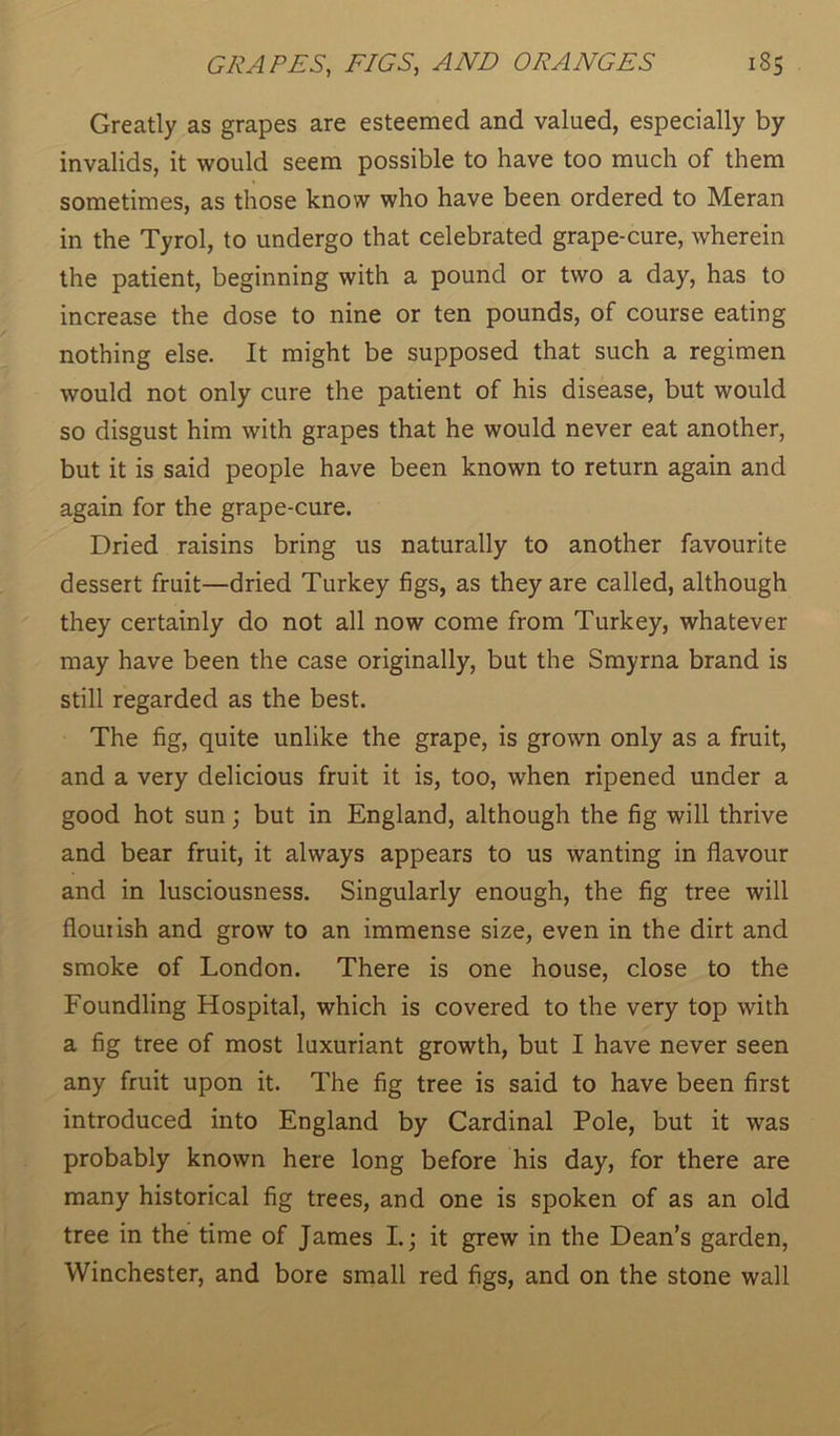 Greatly as grapes are esteemed and valued, especially by invalids, it would seem possible to have too much of them sometimes, as those know who have been ordered to Meran in the Tyrol, to undergo that celebrated grape-cure, wherein the patient, beginning with a pound or two a day, has to increase the dose to nine or ten pounds, of course eating nothing else. It might be supposed that such a regimen would not only cure the patient of his disease, but would so disgust him with grapes that he would never eat another, but it is said people have been known to return again and again for the grape-cure. Dried raisins bring us naturally to another favourite dessert fruit—dried Turkey figs, as they are called, although they certainly do not all now come from Turkey, whatever may have been the case originally, but the Smyrna brand is still regarded as the best. The fig, quite unlike the grape, is grown only as a fruit, and a very delicious fruit it is, too, when ripened under a good hot sun; but in England, although the fig will thrive and bear fruit, it always appears to us wanting in flavour and in lusciousness. Singularly enough, the fig tree will flouiish and grow to an immense size, even in the dirt and smoke of London. There is one house, close to the Foundling Hospital, which is covered to the very top with a fig tree of most luxuriant growth, but I have never seen any fruit upon it. The fig tree is said to have been first introduced into England by Cardinal Pole, but it was probably known here long before his day, for there are many historical fig trees, and one is spoken of as an old tree in the time of James I.; it grew in the Dean’s garden, Winchester, and bore small red figs, and on the stone wall