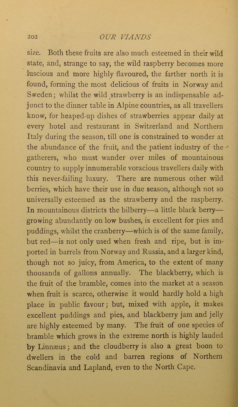 size. Both these fruits are also much esteemed in their wild state, and, strange to say, the wild raspberry becomes more luscious and more highly flavoured, the farther north it is found, forming the most delicious of fruits in Norway and Sweden; whilst the wild strawberry is an indispensable ad- junct to the dinner table in Alpine countries, as all travellers know, for heaped-up dishes of strawberries appear daily at every hotel and restaurant in Switzerland and Northern Italy during the season, till one is constrained to wonder at the abundance of the fruit, and the patient industry of the • gatherers, who must wander over miles of mountainous country to supply innumerable voracious travellers daily with this never-failing luxury. There are numerous other wild berries, which have their use in due season, although not so universally esteemed as the strawberry and the raspberry. In mountainous districts the bilberry—a little black berry— growing abundantly on low bushes, is excellent for pies and puddings, whilst the cranberry—which is of the same family, but red—is not only used when fresh and ripe, but is im- ported in barrels from Norway and Russia, and a larger kind, though not so juicy, from America, to the extent of many thousands of gallons annually. The blackberry, which is the fruit of the bramble, comes into the market at a season when fruit is scarce, otherwise it would hardly hold a high place in public favour; but, mixed with apple, it makes excellent puddings and pies, and blackberry jam and jelly are highly esteemed by many. The fruit of one species of bramble which grows in the extreme north is highly lauded by Linnaeus; and the cloudberry is also a great boon to dwellers in the cold and barren regions of Northern Scandinavia and Lapland, even to the North Cape.
