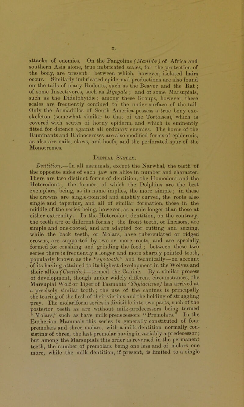 attacks of enemies. On the Pangolins (Manidce) of Africa and southern Asia alone, true imbricated scales, for the protection of the body, are present; between which, however, isolated hairs occur. Similarly imbricated epidermal productions are also found on the tails of many Rodents, such as the Beaver and the Rat ; of some Insectivores, such as Myogale ; and of some Marsupials, such as the Didelphyidse : among these Groups, however, these scales are frequently confined to the under surface of the tail. Only the Armadillos of South America possess a true bony exo- skeleton (somewhat similar to that of the Tortoises), which is covered with scutes of horny epiderm, and which is eminently fitted for defence against all ordinary enemies. The horns of the Ruminants and Rhinoceroses are also modified forms of epidermis, as also are nails, claws, and hoofs, and the perforated spur of the Monotremes. Dental System. Deiltition.—h\ all mammals, except the Narwhal, the teeth of the opposite sides of each jaw are alike in number and character. There are two distinct forms of dentition, the Homodont and the Heterodont; the former, of which the Dolphins are the best exemplars, being, as its name implies, the more simple; in these the crowns are single-pointed and slightly curved, the roots also single and tapering, and all of similar formation, those in the middle of the series being, however, as a rule longer than those at either extremity. In the Heterodont dentition, on the contrary, the teeth are of difierent forms; the front teeth, or Incisors, are simple and one-rooted, and are adapted for cutting and seizing, while the back teeth, or Molars, have tuberculated or ridged crowns, are supported by two or more roots, and are specially, formed for crushing and grinding the food ; between these two series there is frequently a longer and more sharply pointed tooth, , popularly known as the ^'eye-tooth ” and technically—on account of its having attained to its highest development in the Wolves and their allies —termed the Canine. By a similar process of development, though under widely different circumstances, the Marsupial Wolf or Tiger of Ta.BX\Yd,ma. (TliylacinusJ has arrived at a precisely similar tooth ; the use of the canines is principally the tearing of the flesh of their victims and the holding of struggling prey. The molariform series is divisible into two parts, such of the posterior teeth as are without milk-predecessors being termed Molars,” such as have milk-predecessors “ Premolars.” In the Eutherian Mammals this series is generally constituted of four premolars and three molars, with a milk dentition normally con- sisting of three, the last premolar having invariably a predecessor; but among the Marsupials this order is reversed in the permanent teeth, the number of premolars being one less and of molars one more, while the milk dentition, if present, is limited to a single