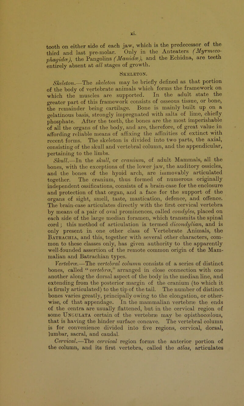 tooth on either side of each jaw, which is the predecessor of the third and last pre-molar. Only in the Anteaters (Myrmeco- phagida^), the Vaxigo\\n& (Manidce), and the Echidna, are teeth entirely absent at all stages of growth. ISkeleton. Skeleton,—The skeleton may be briefly defined as that portion of the body of vertebrate animals which forms the framework on which the muscles are supported. In the adult state the greater part of this framework consists of osseous tissue, or bone, the remainder being cartilage. Bone is mainly built up on a gelatinous basis, strongly impregnated with salts of lime, chiefly phosphate. After the teeth, the bones are the most imperishable of all the organs of the body, and are, therefore, of great value in affording reliable means of affixing the affinities of extinct with recent forms. The skeleton is divided into two parts, the axial, consisting of the skull and vertebral column, and the appendicular, pertaining to the limbs. Skull.—In the skull, or cranium, of adult Mammals, all the bones, with the exceptions of the lower jaw, the auditory ossicles, and the bones of the hyoid arch, are immovably articulated together. The cranium, thus formed of numerous originally independent ossifications, consists of a brain-case for the enclosure and protection of that organ, and a face for the support of the organs of sight, smell, taste, mastication, defence, and offence. The brain-case articulates directly with the first cervical vertebra by means of a pair of oval prominences, called condyles, placed on each side of the large median foramen, which transmits the spinal cord; this method of articulation is termed dicondylian, and is only present in one other class of Vertebrate Animals, the Batrachia, and this, together with several other characters, com- mon to these classes only, has given authority to the apparently well-founded assertion of the remote common origin of the Mam- malian and Batrachian types. Vertebra}.—The vertebral column consists of a series of distinct bones, called “ vertebra}.,” arranged in close connection with one another along the dorsal aspect of the body in the median line, and extending from the posterior margin of the cranium (to which it is firmly articulated) to the tip of the tail. The number of distinct bones varies greatly, principally owing to the elongation, or other- wise, of that appendage. In the mammalian vertebrje the ends of the centra ai’e usually flattened, but in the cervical region of some Unculata certain of the vertebrje may be opisthocoelous, that is having the hinder surface concave. The vertebral column is for convenience divided into five regions, cervical, dorsal, lumbar, sacral, and caudal. Cervical.—The cervical region forms the anterior portion of the column, and its first vertebra, called the atlas, articulates
